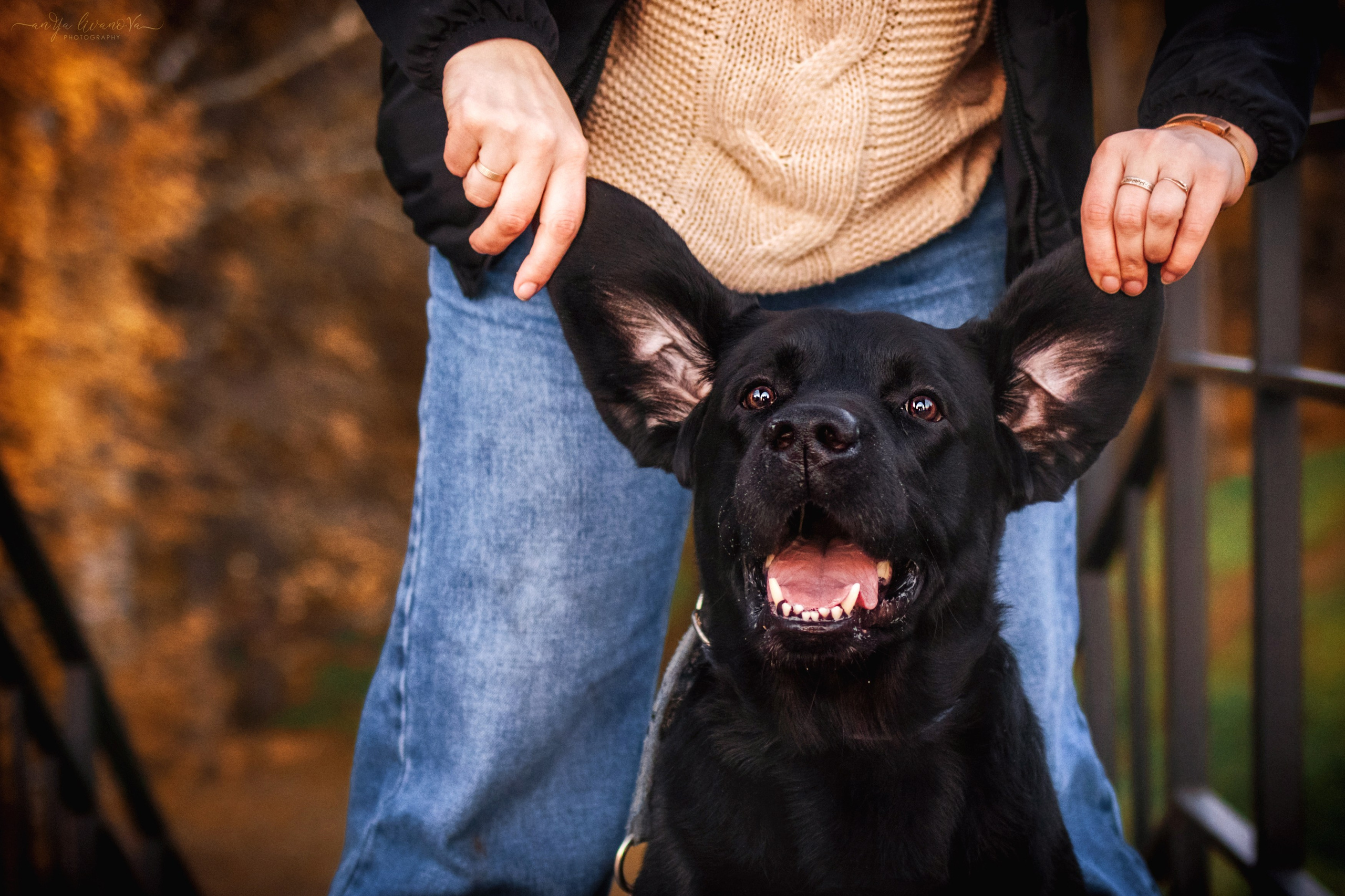 Оскар и его семья в парке. Фотограф анималист Аня Ливанова | Рыбинск