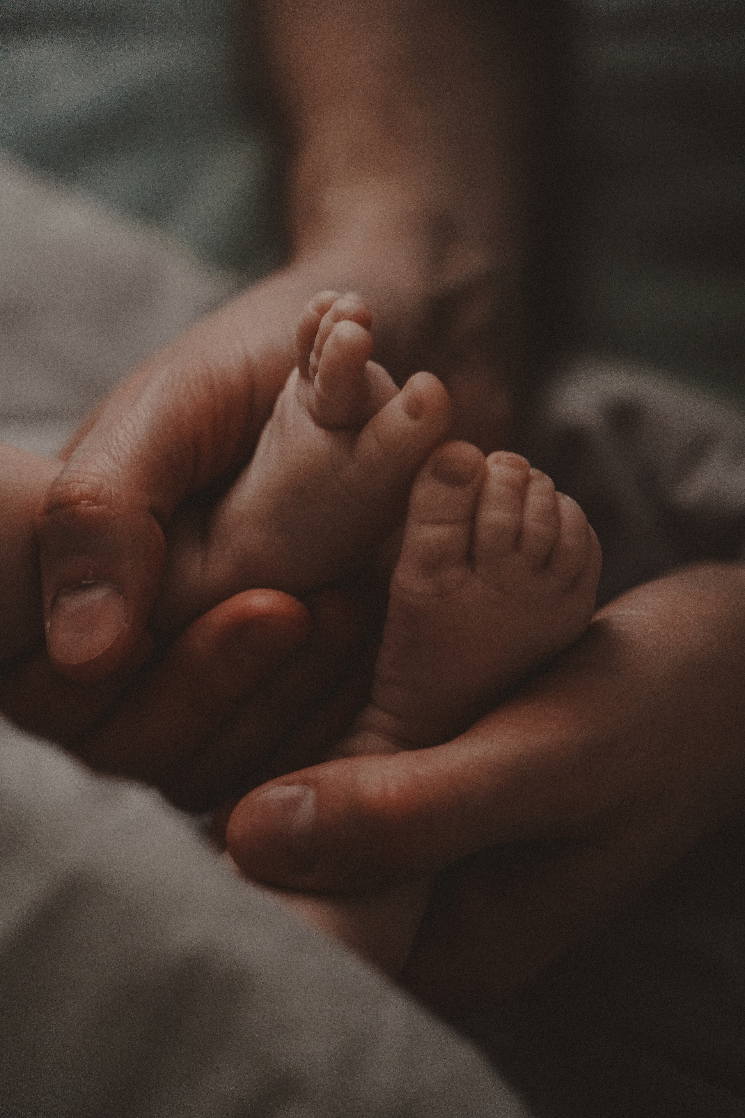 Домашняя фотосессия с новорожденным. Семейный и женский фотограф в Краснодаре Анастасия Приймак