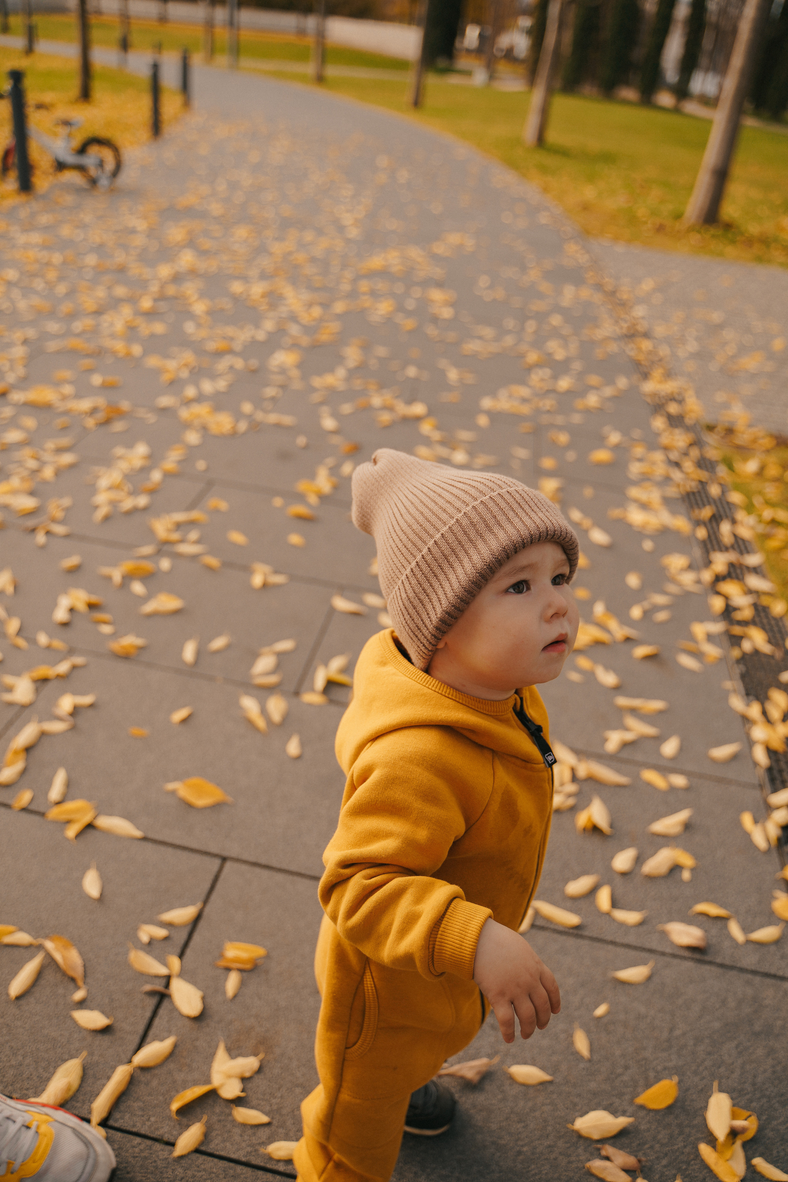 Семейная осенняя фотосессия. Семейный и женский фотограф в Краснодаре Анастасия Приймак