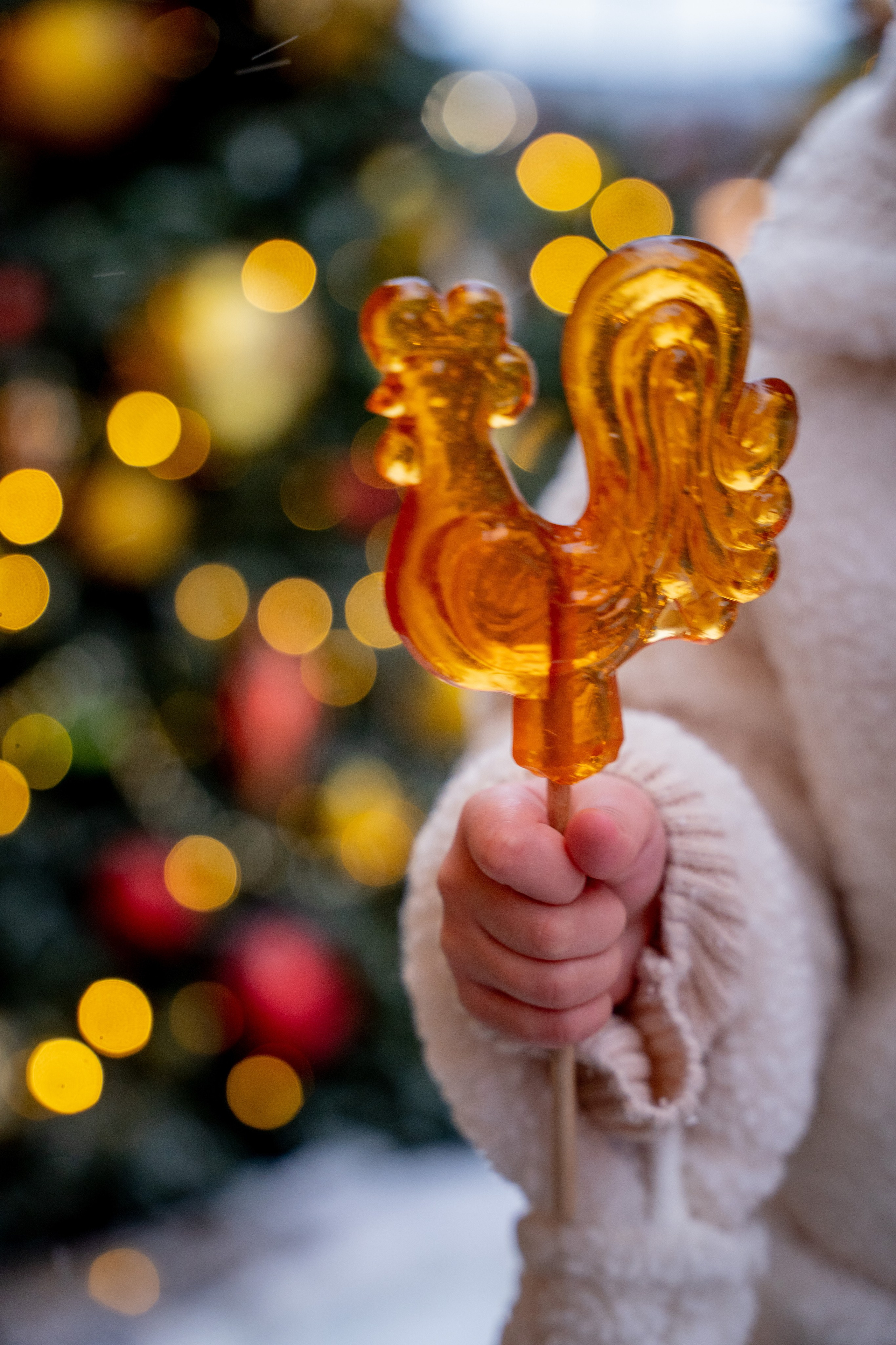 Новогодние фотопрогулки. Профессиональный фотограф Ковалева Олеся