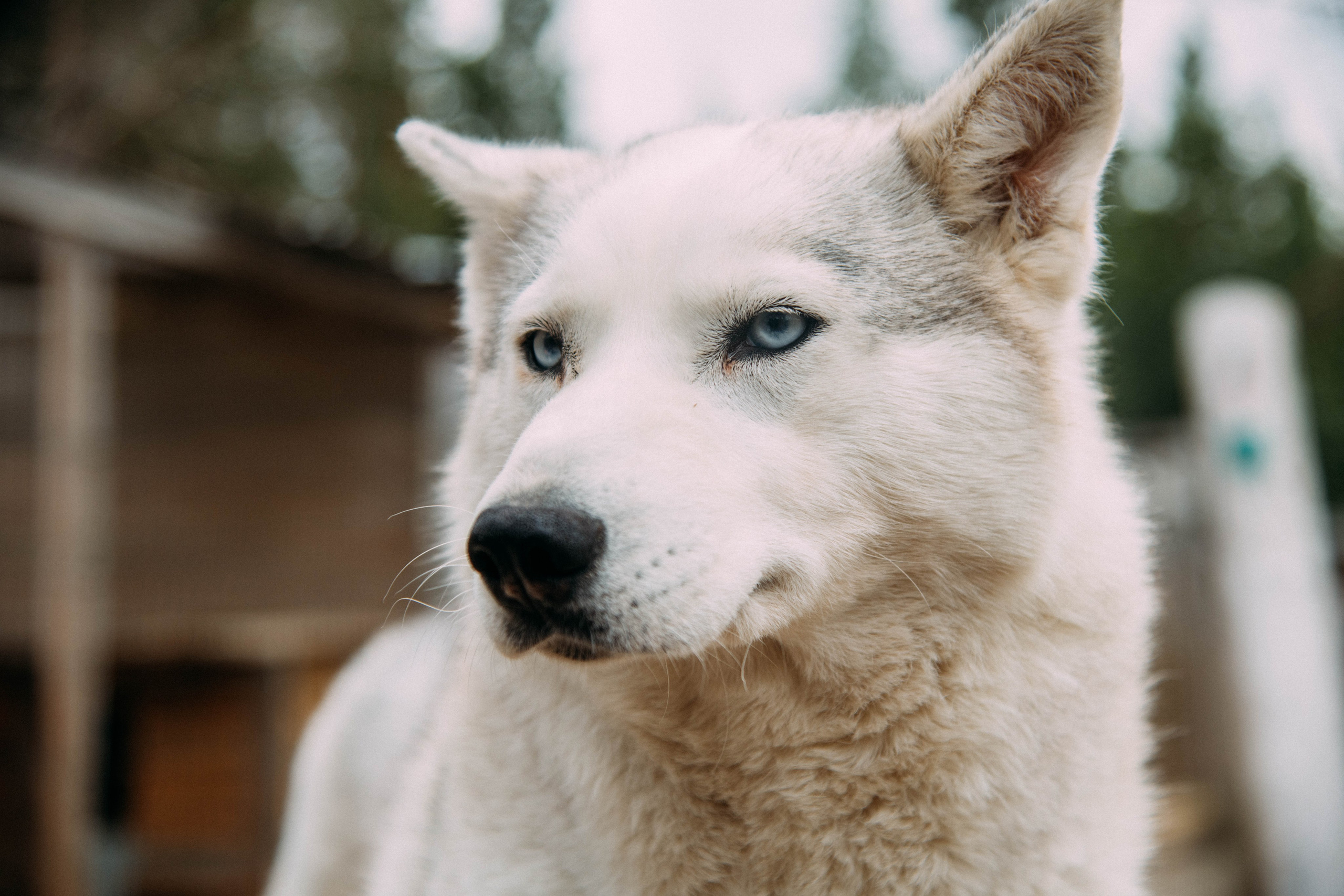 Кольский полуостров. Фотографирую для себя, своей семьи и друзей!