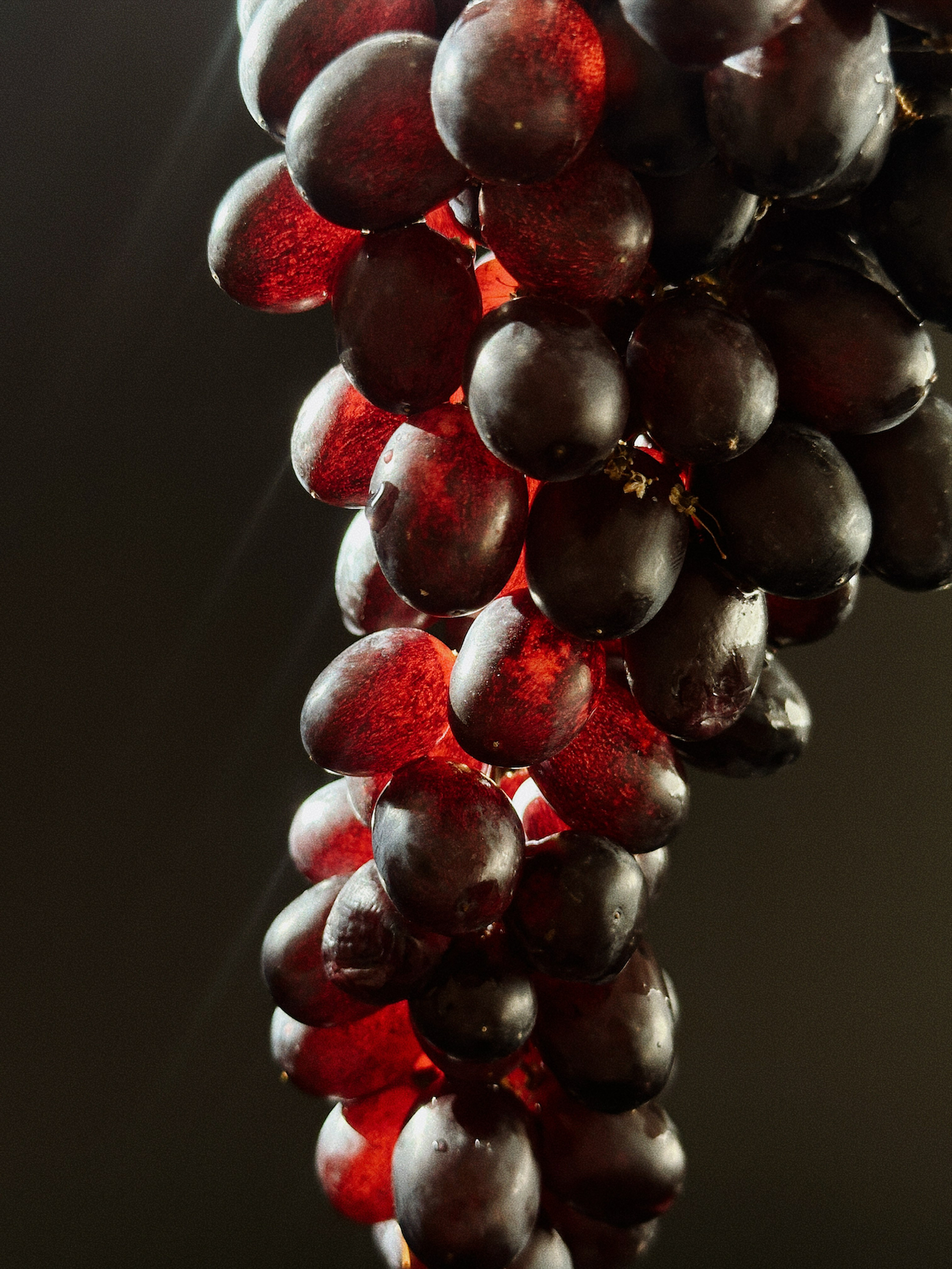 Предметная съёмка. Чувственный мобильный фотограф в Казани и Сочи Дьяченко Дарья