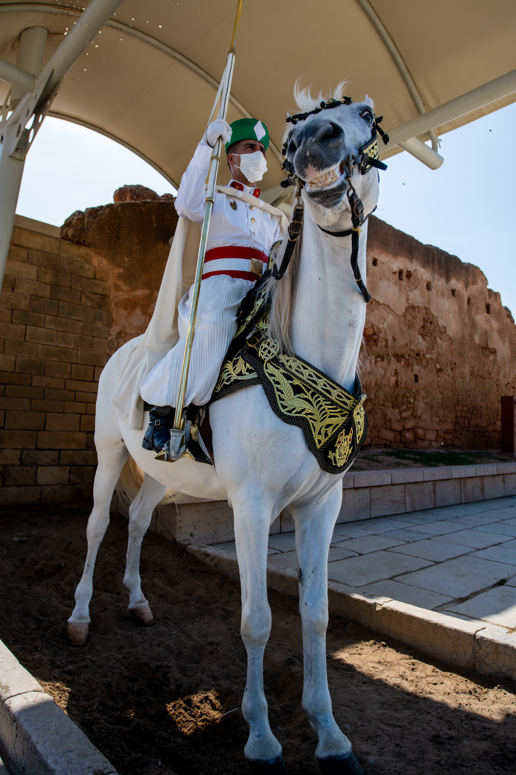 Марокко 2022. Создание обучающих видеороликов Puponin Production