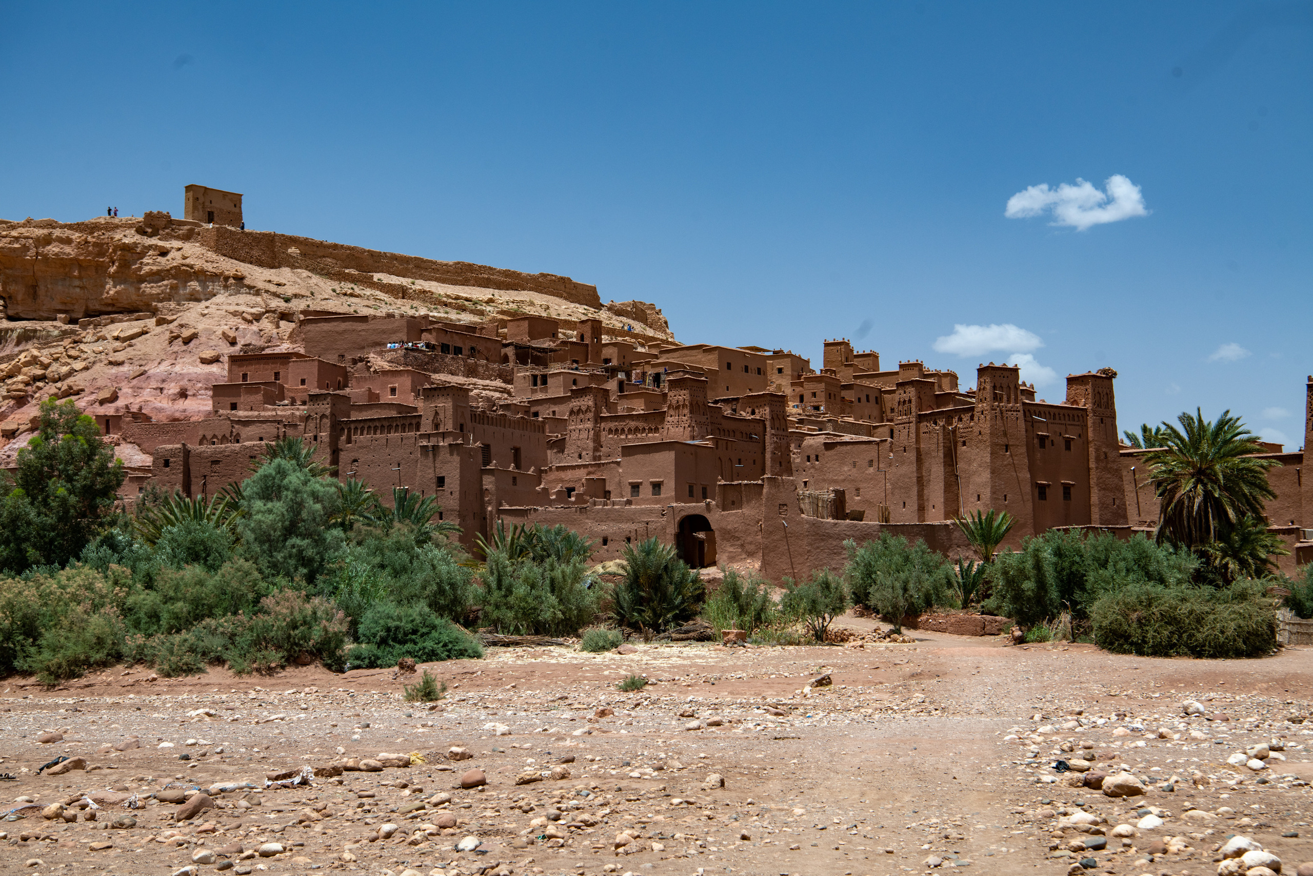 Марокко 2022. Создание обучающих видеороликов Puponin Production