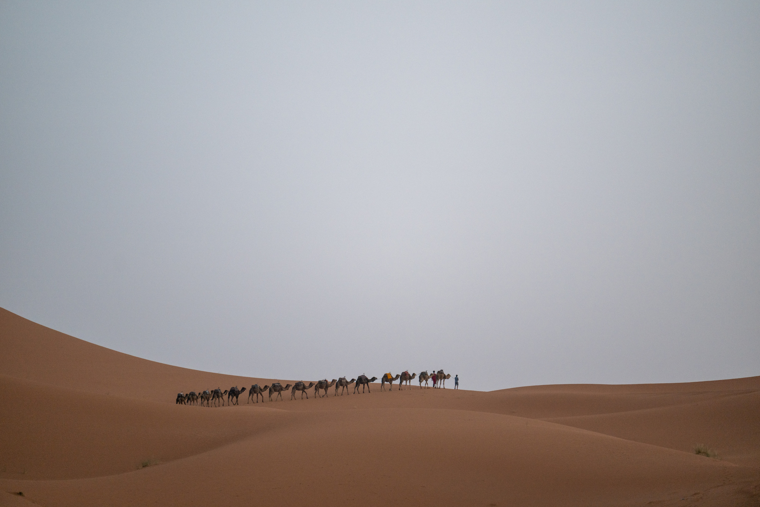 Марокко 2022. Создание обучающих видеороликов Puponin Production