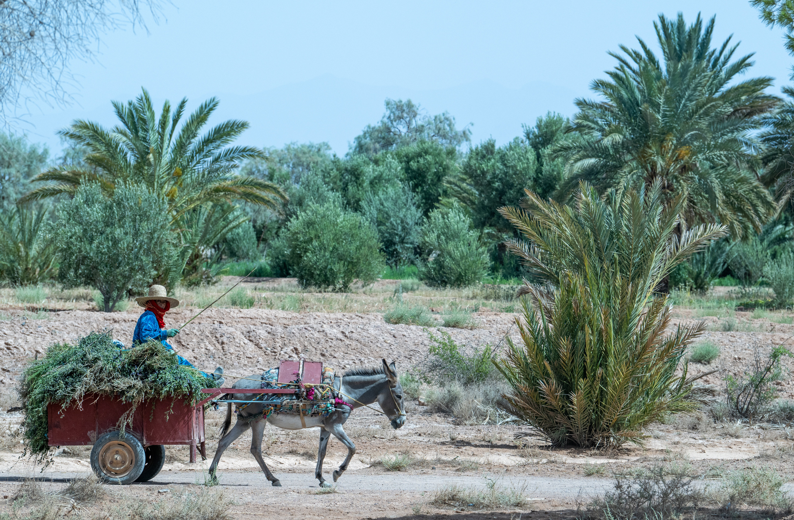 Марокко 2022. Создание обучающих видеороликов Puponin Production