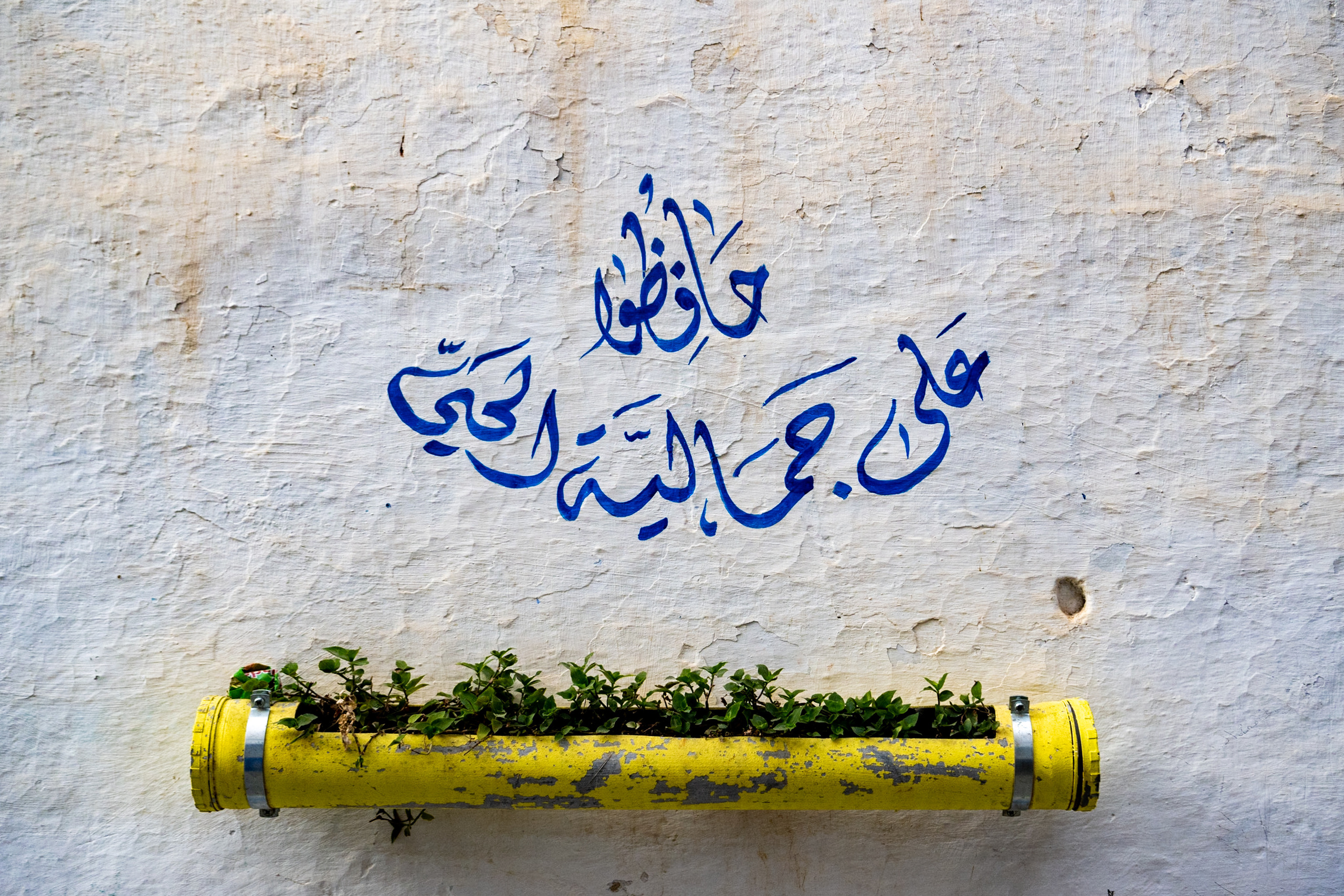 Марокко 2022. Создание обучающих видеороликов Puponin Production