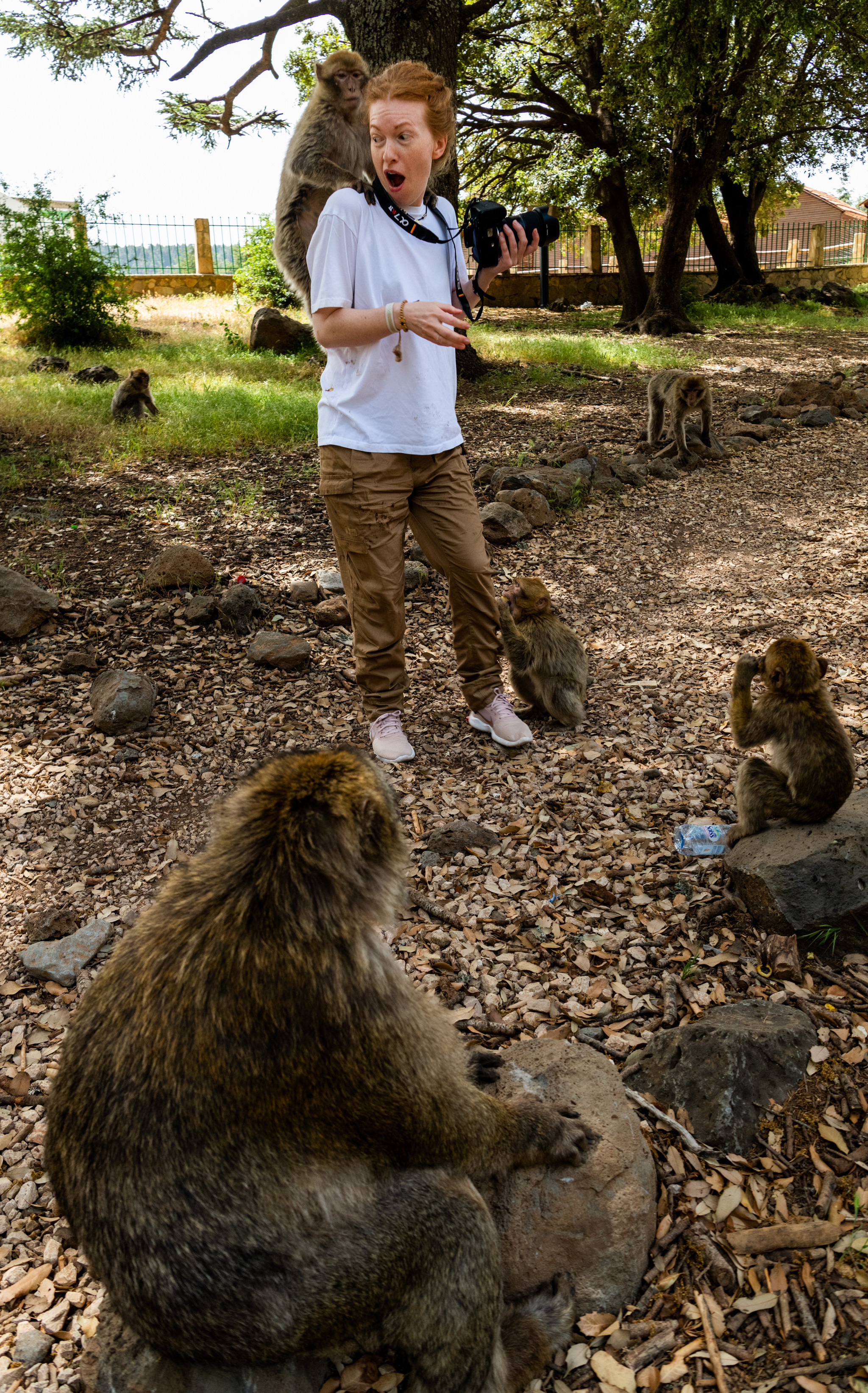 Марокко 2022. Создание обучающих видеороликов Puponin Production