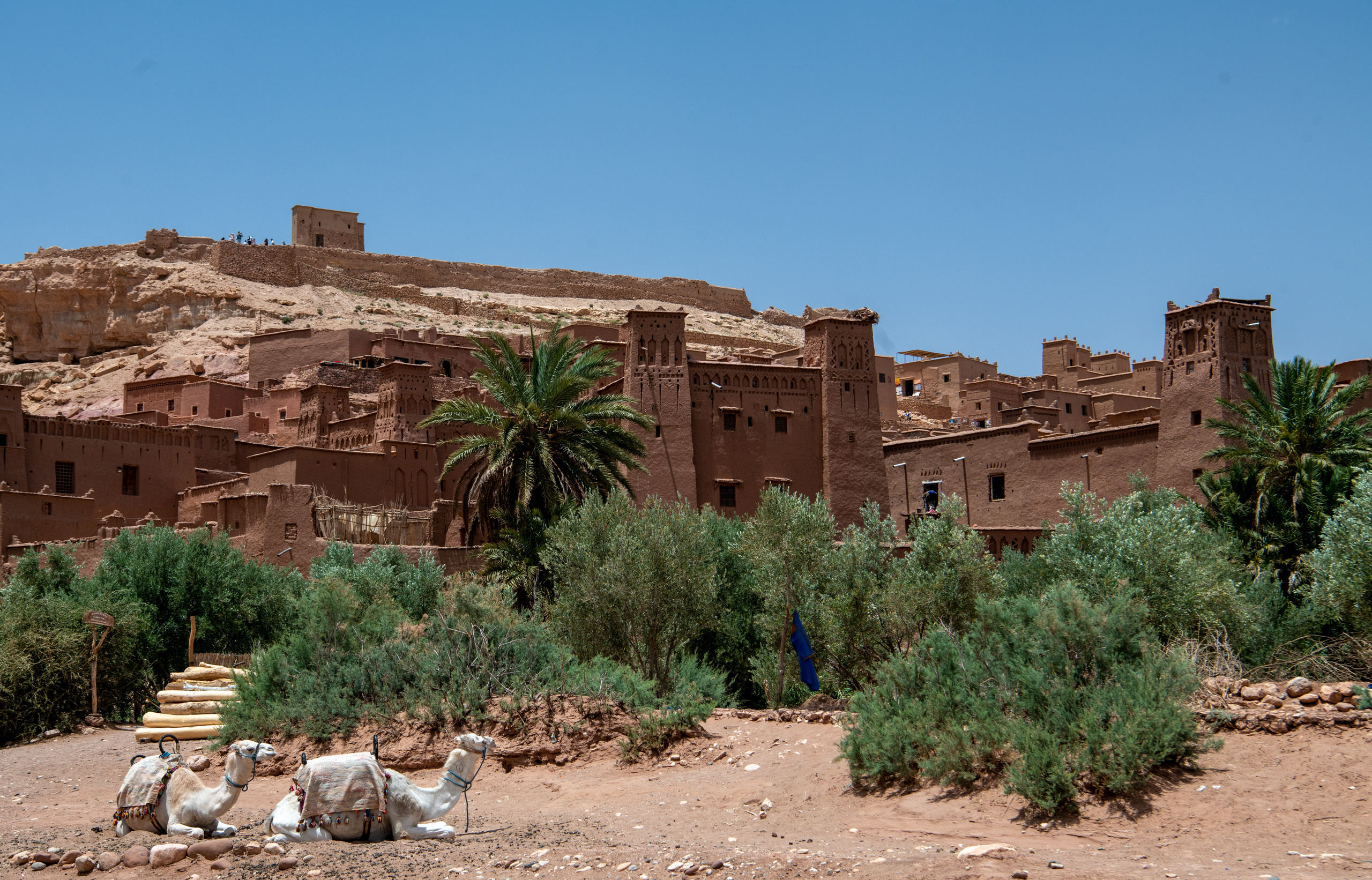 Марокко 2022. Создание обучающих видеороликов Puponin Production