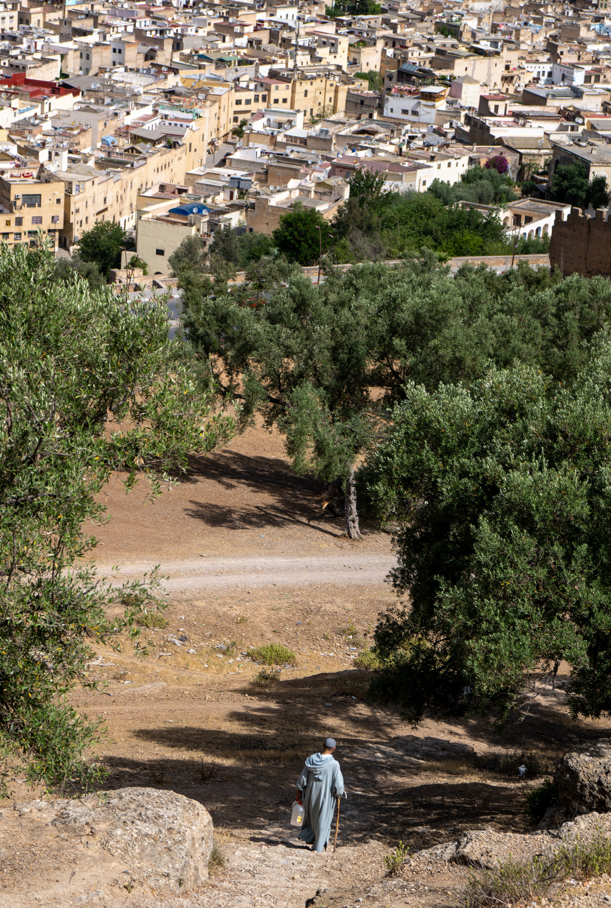 Марокко 2022. Создание обучающих видеороликов Puponin Production