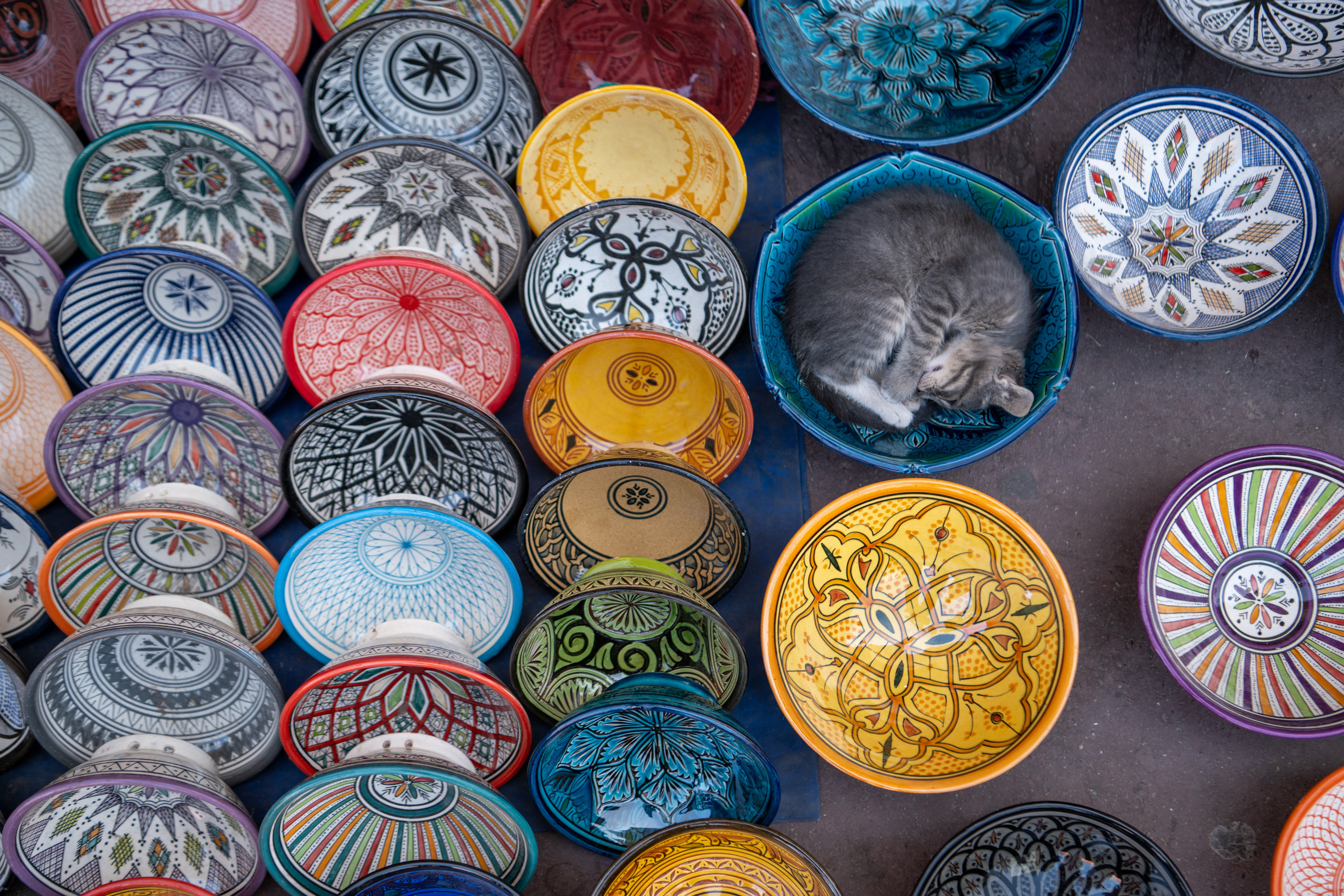 Марокко 2022. Создание обучающих видеороликов Puponin Production