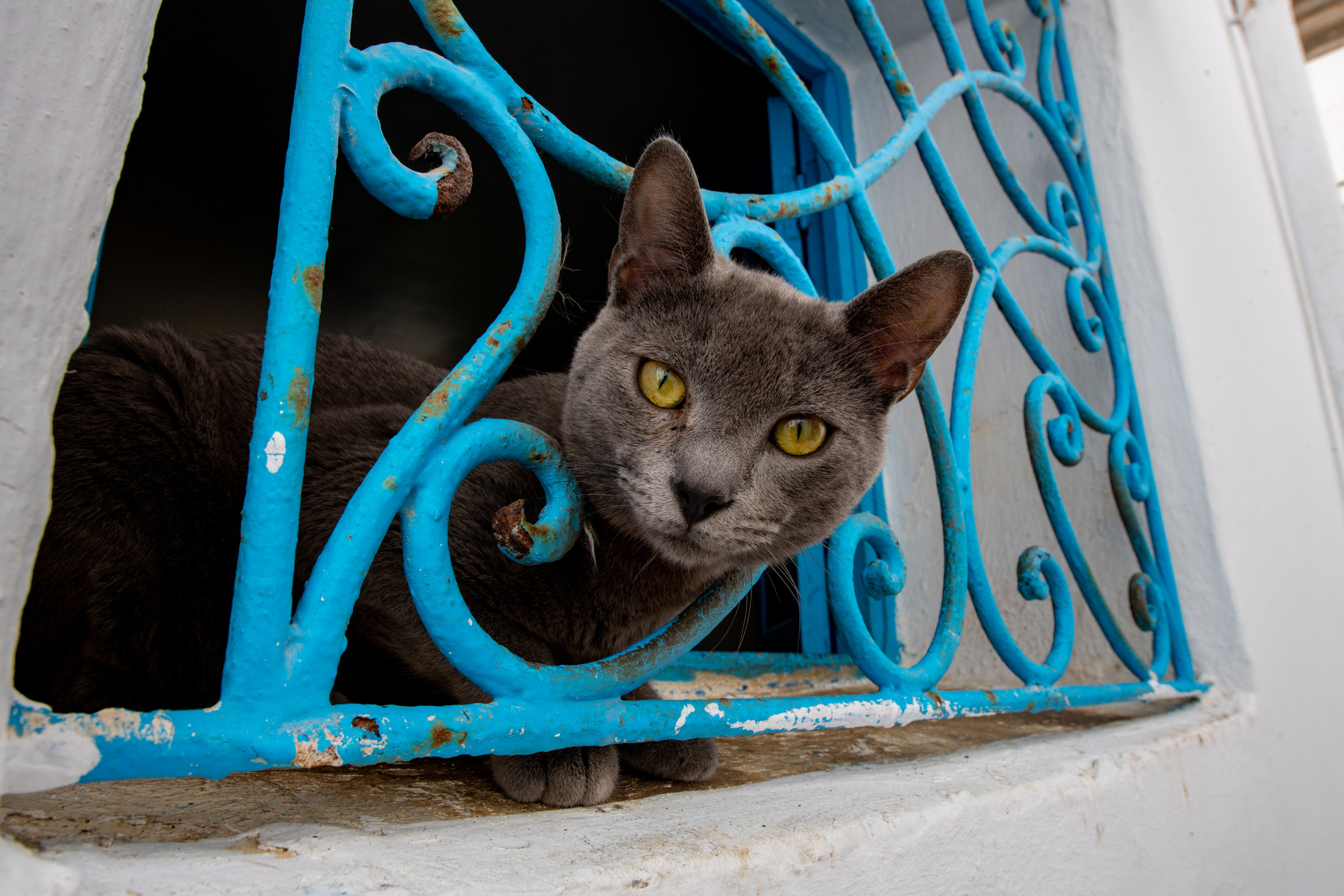 Марокко 2022. Создание обучающих видеороликов Puponin Production