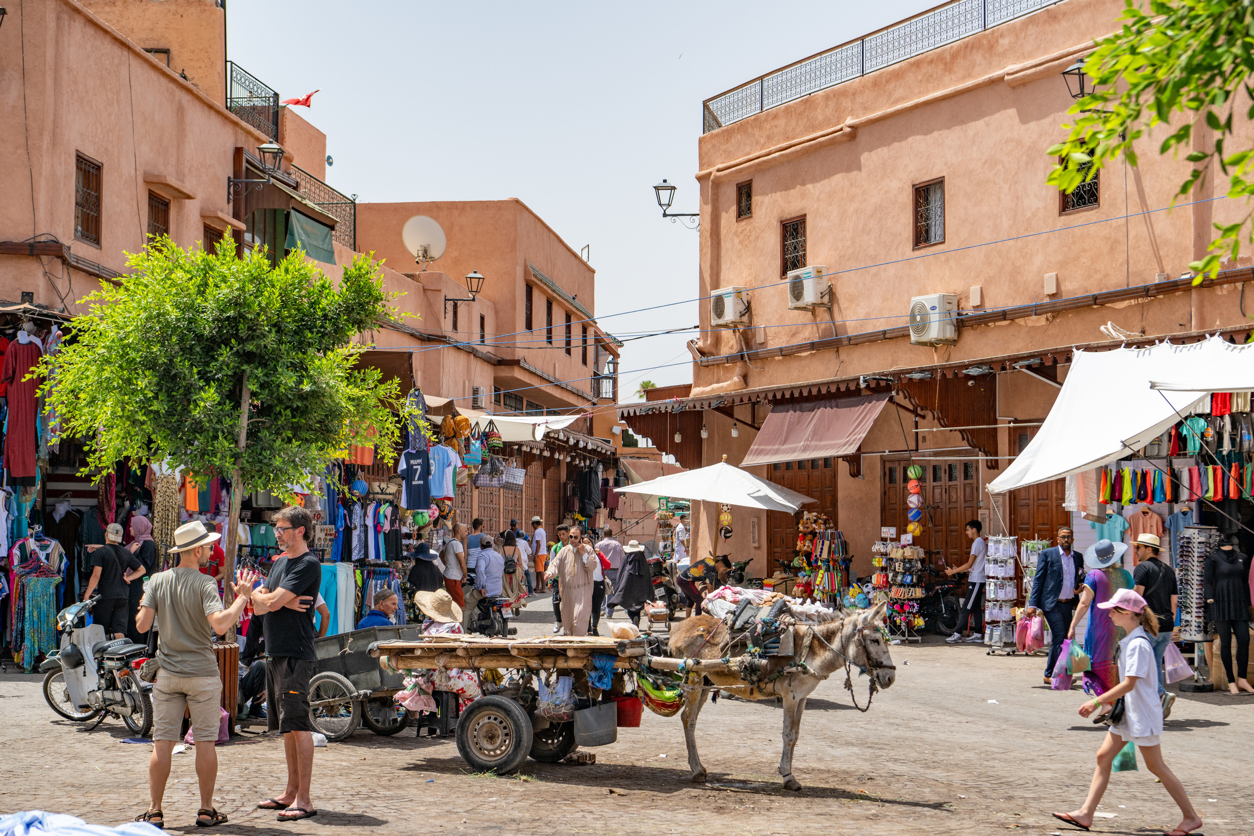 Марокко 2022. Создание обучающих видеороликов Puponin Production