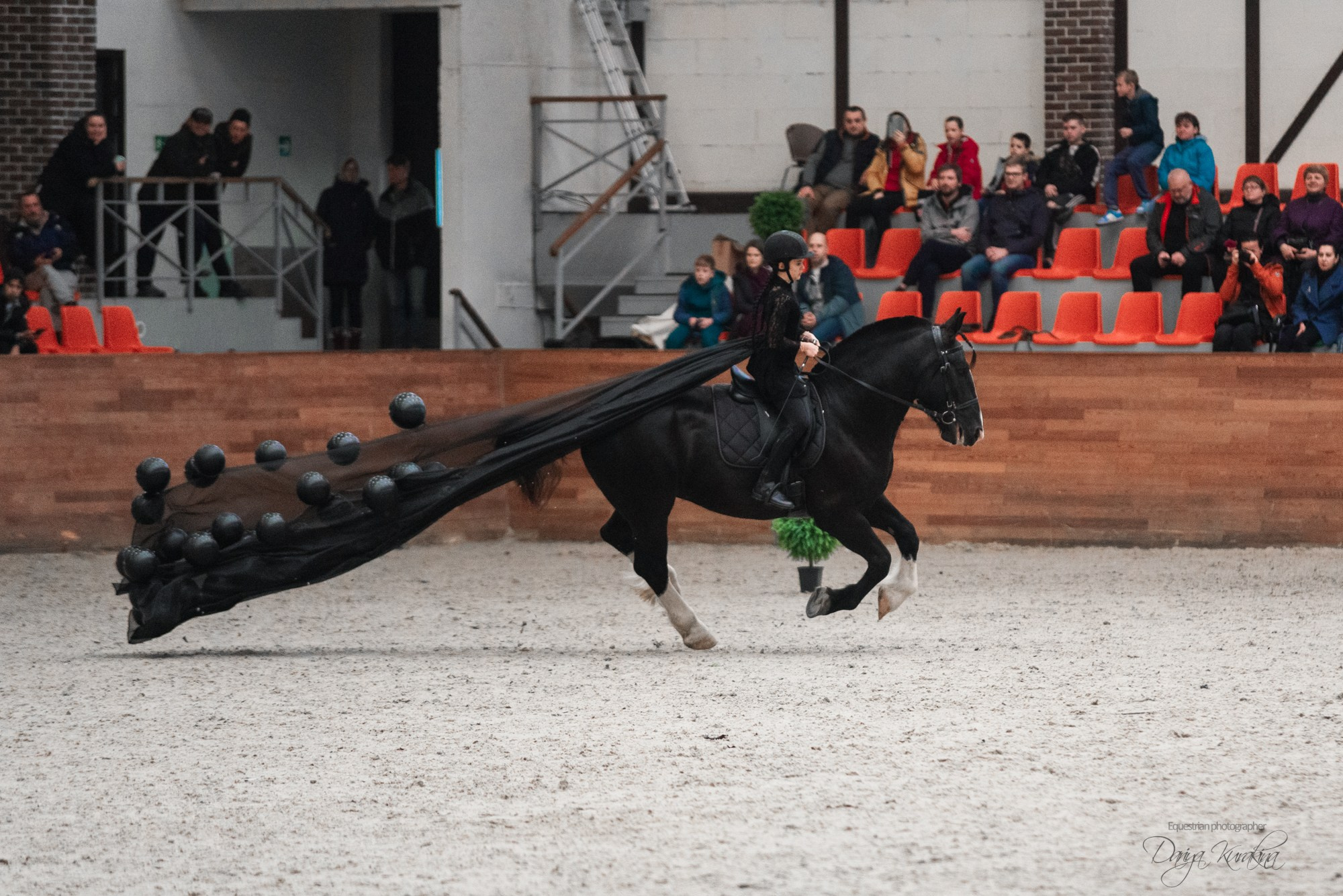8-я международная выставка Конная Россия. Конный фотограф Куракина Дарья • Фотосессии с лошадьми