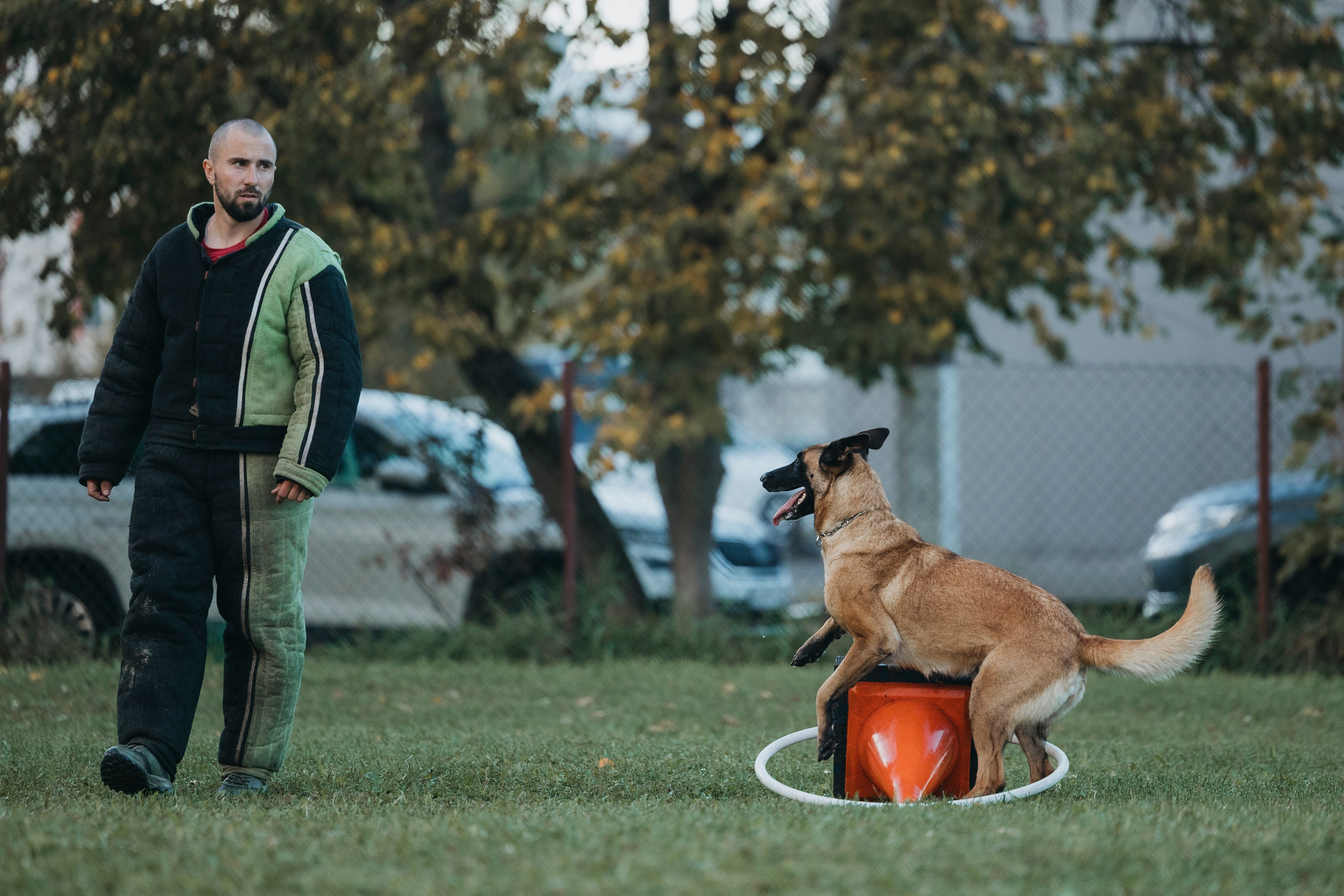 Испытания по мондьорингу г. Пушкин 29.09.2024. Фотограф-анималист Анна Маринич