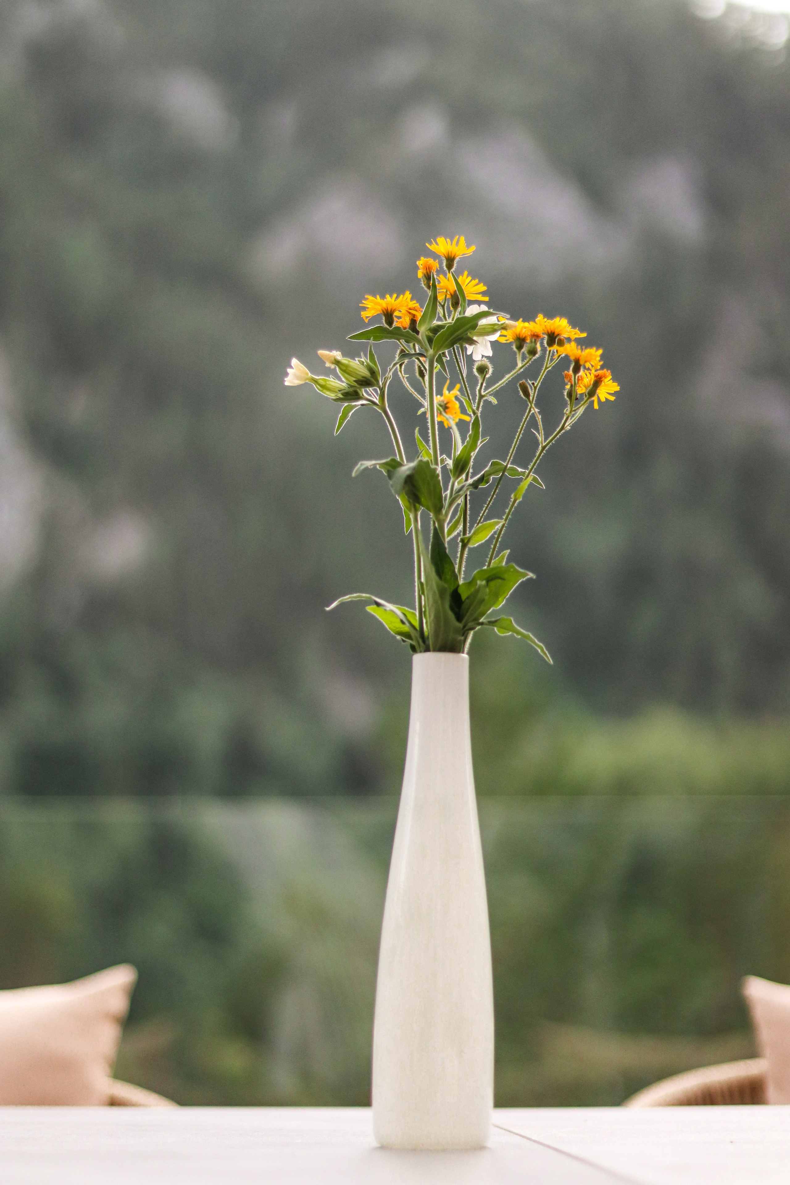 «Pinewood» парк-отель, респ. Алтай. Контент фотограф Дмитрий Борисов