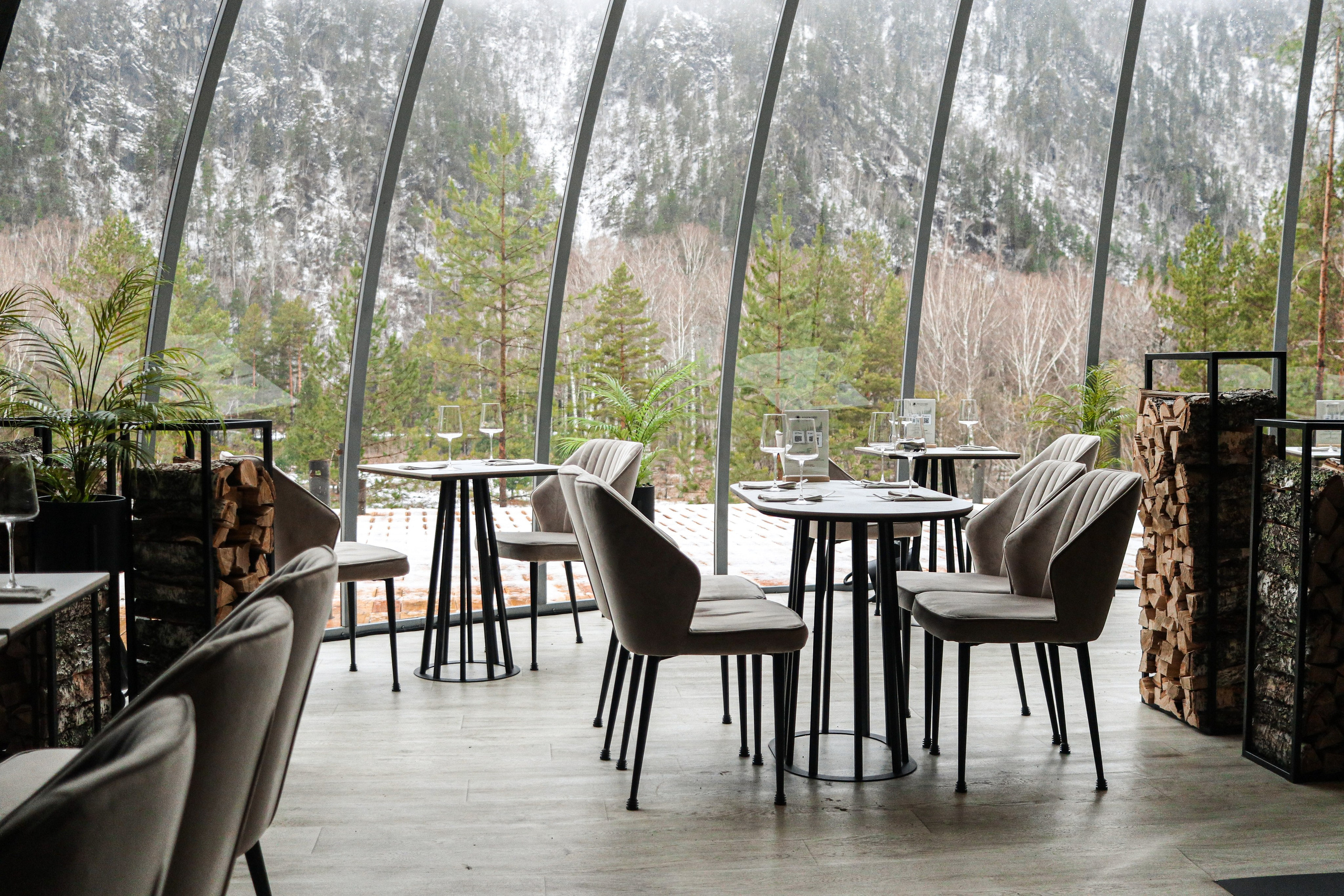 «Pinewood» ресторан, респ. Алтай. Контент фотограф Дмитрий Борисов