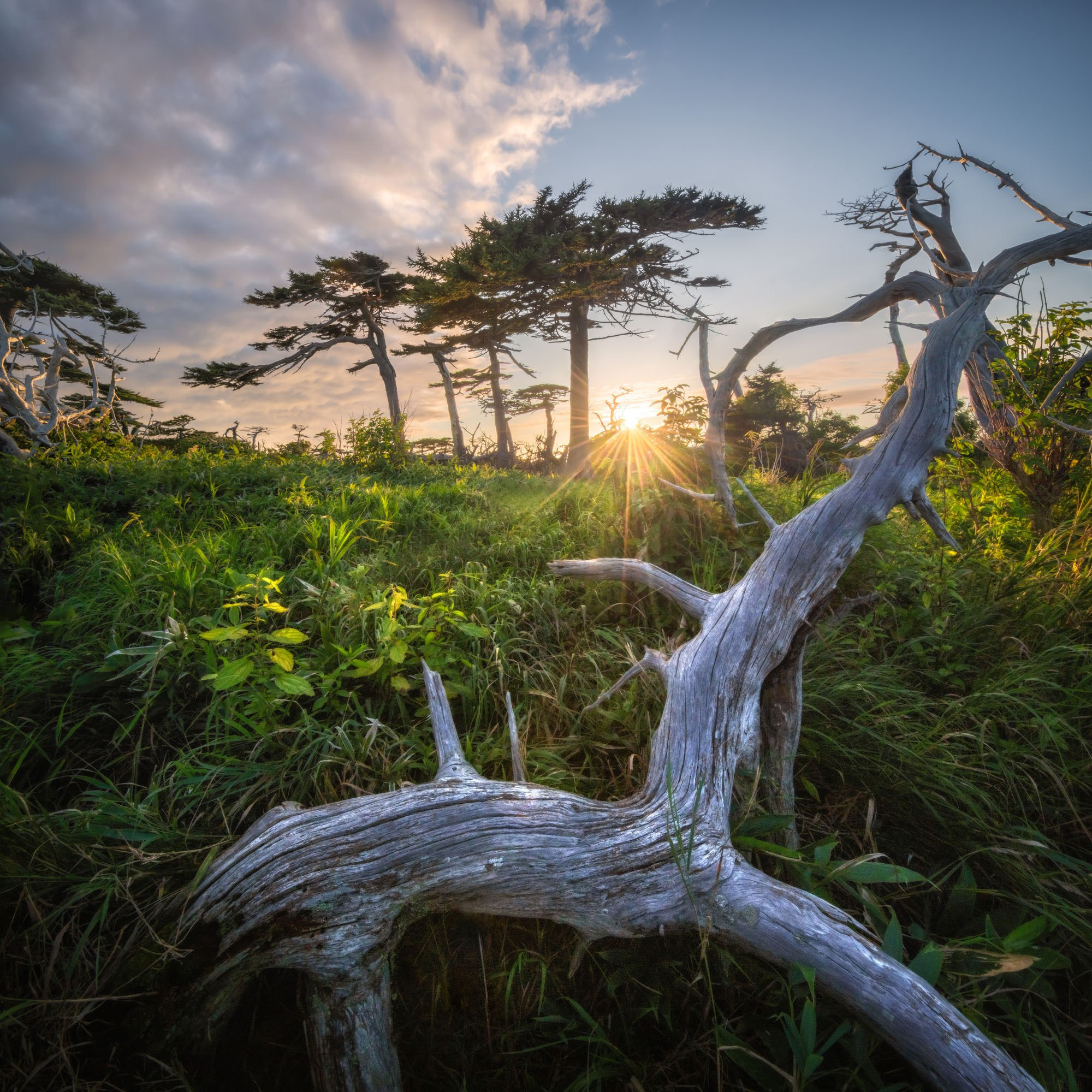 Фотографии южные Курилы