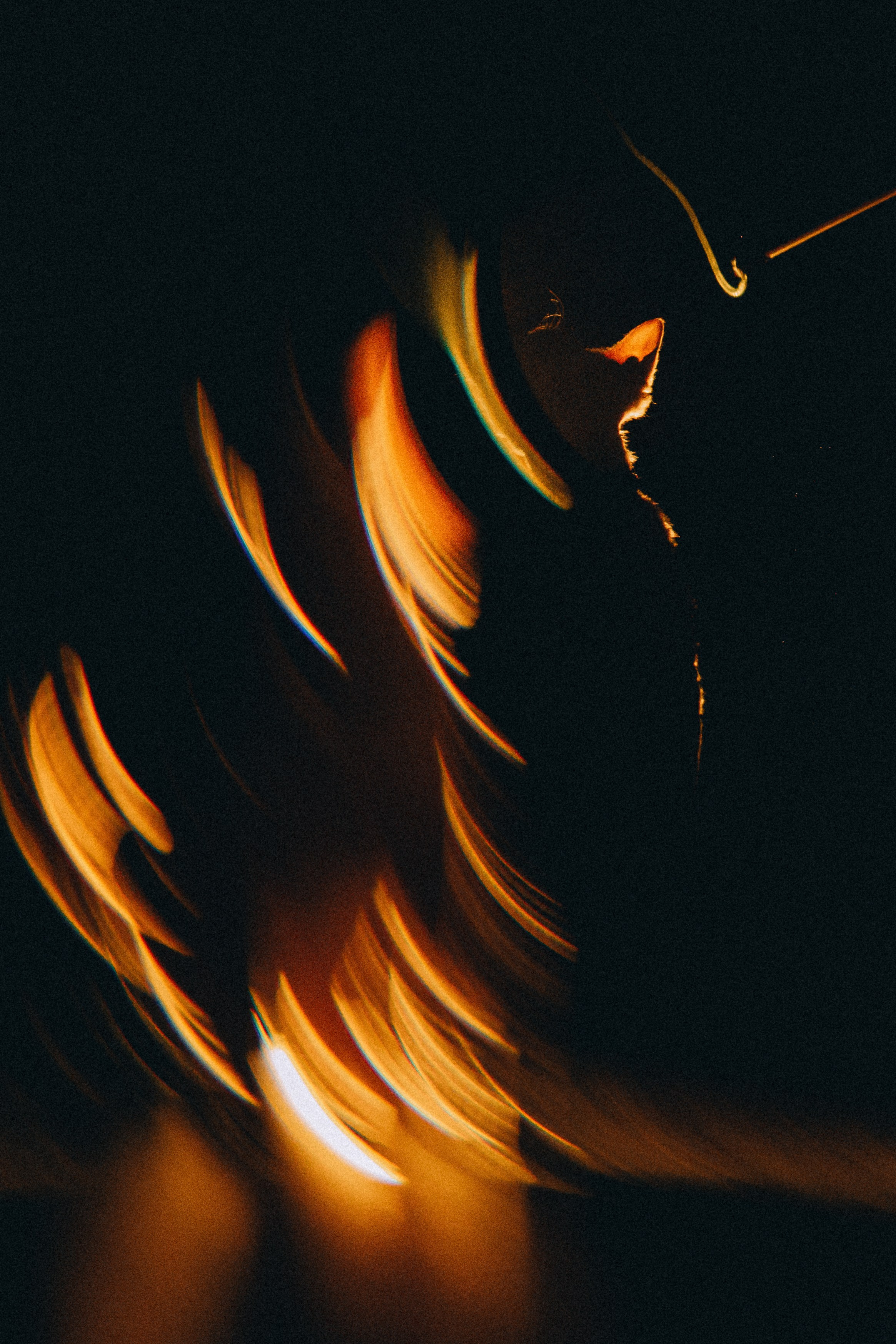 Гречка, Ковш и их семья