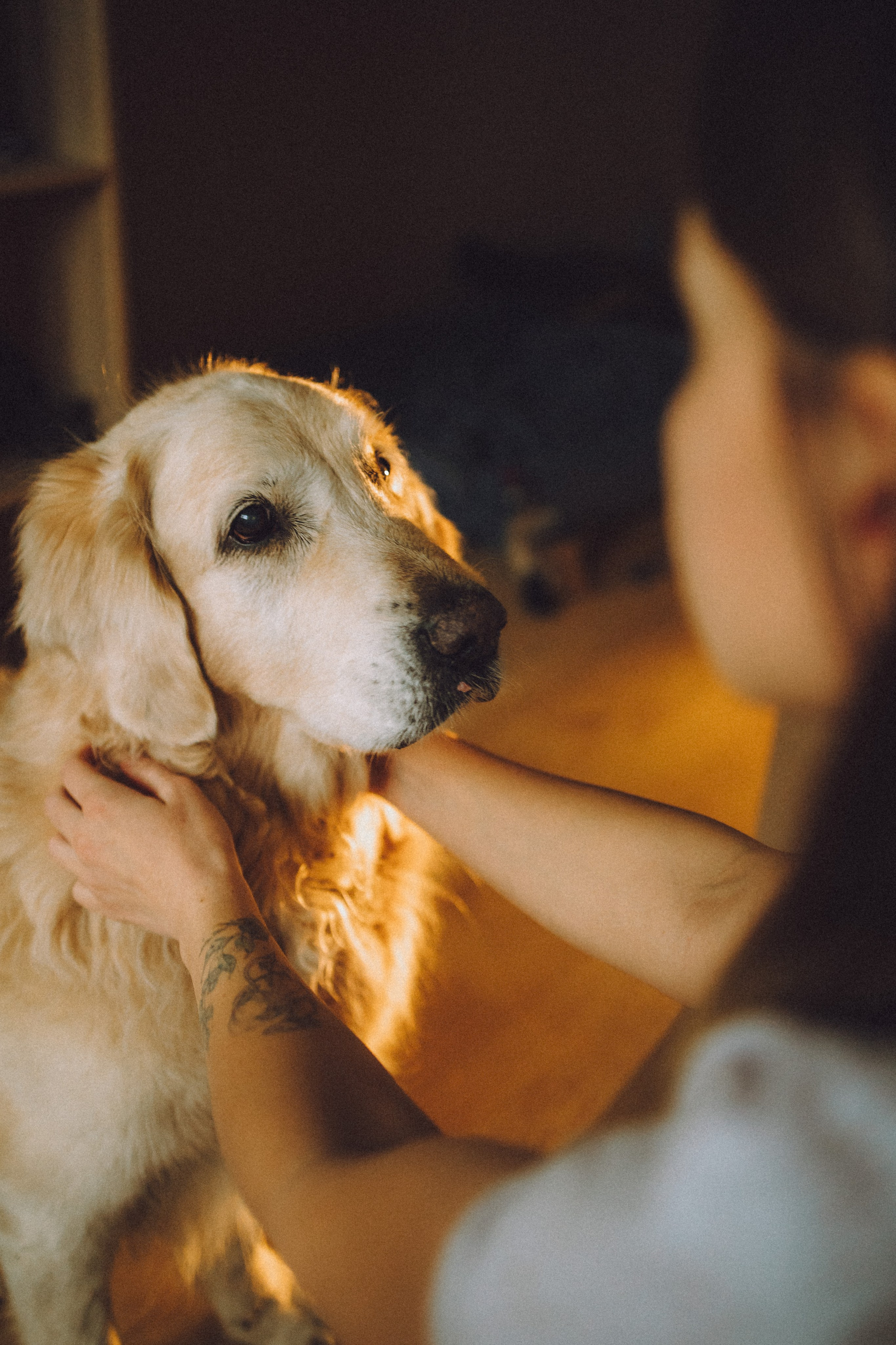 Ира, Андрей, Бэлла и Панда