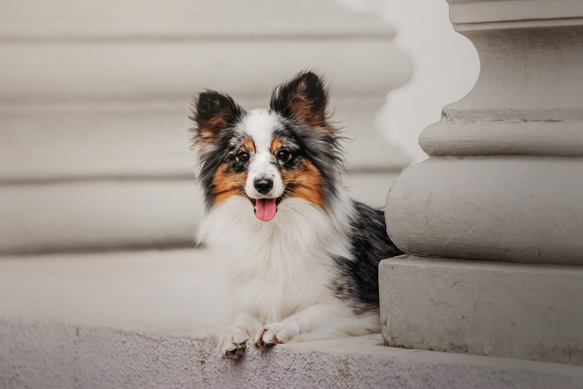 Марина и Кутька. Фотограф Наталья Потапова