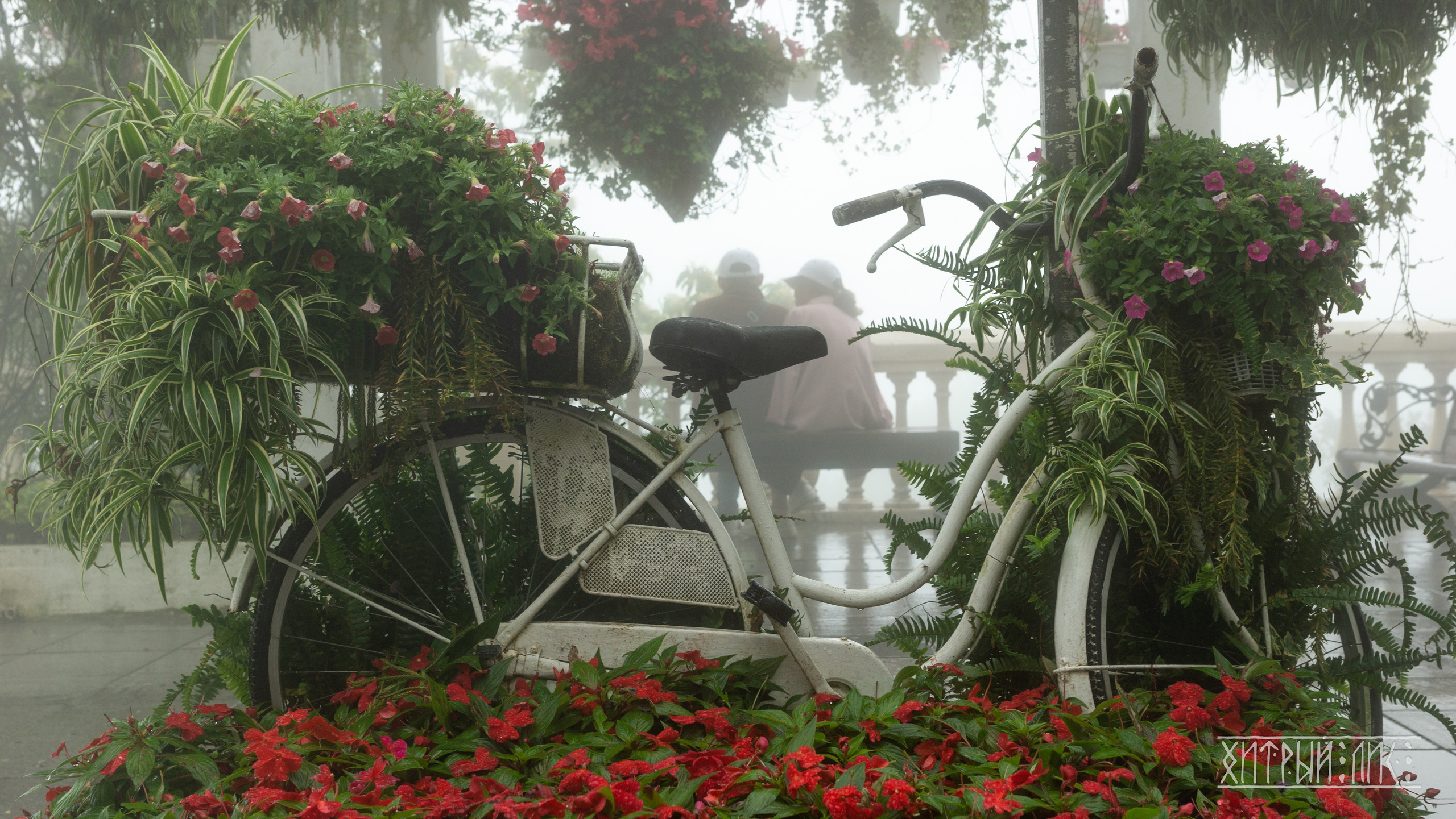 Вьетнам. Фотограф-путешественник Самойлов Максим «Sly Fox»