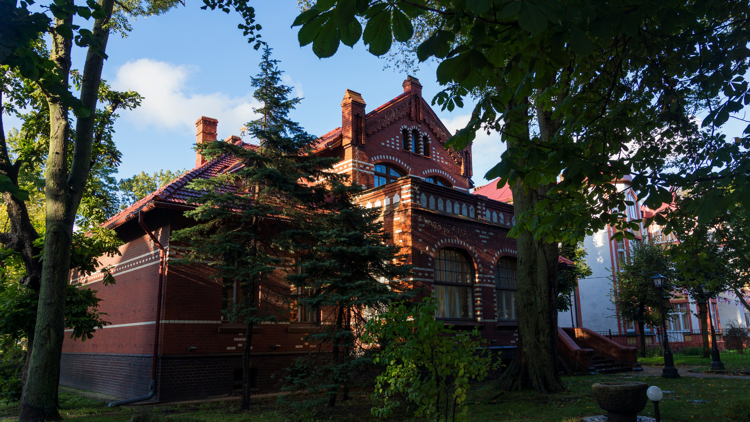 Куршская коса. Фотограф-путешественник Самойлов Максим «Sly Fox»