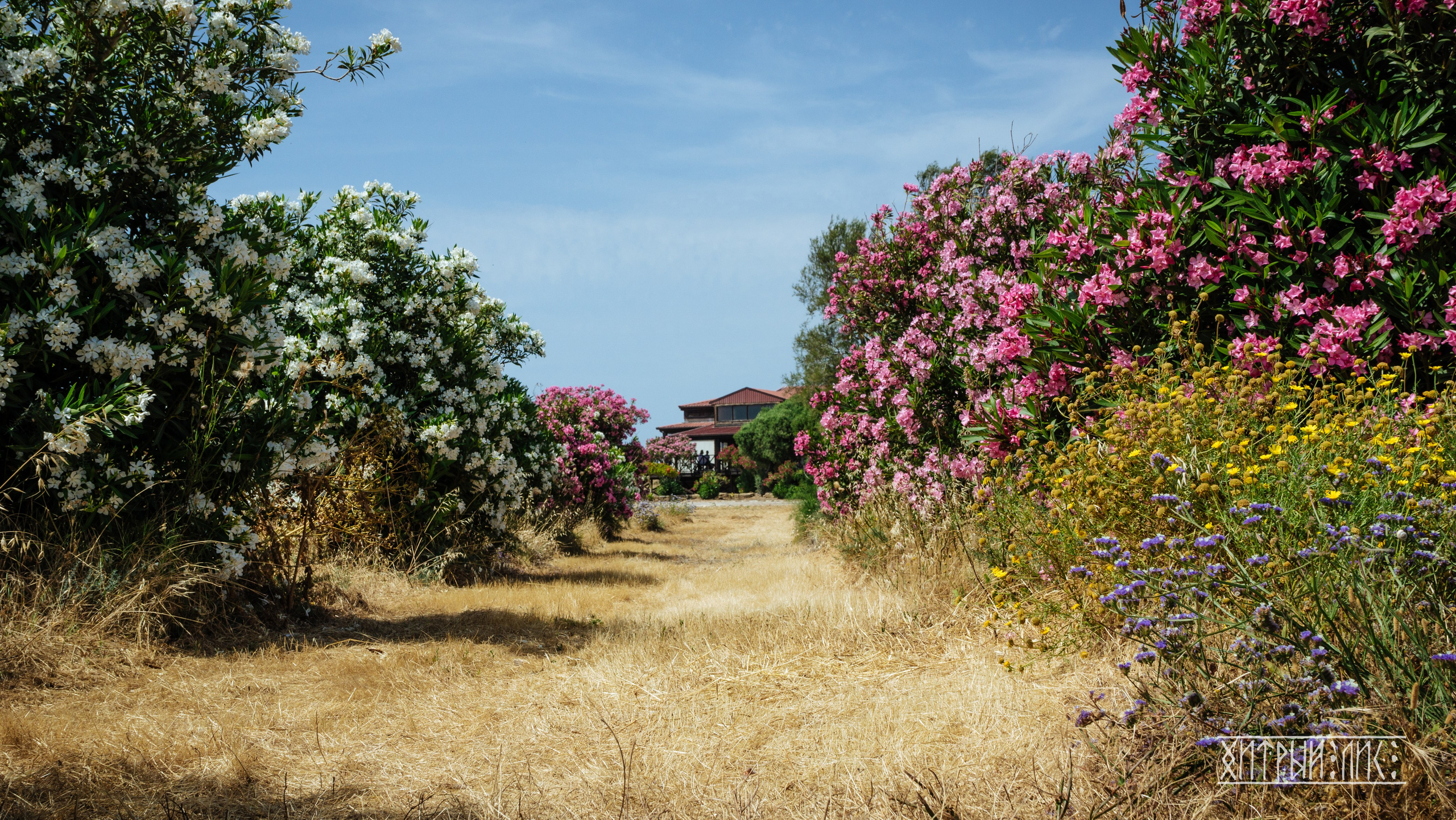 Кипр. Фотограф-путешественник Самойлов Максим «Sly Fox»