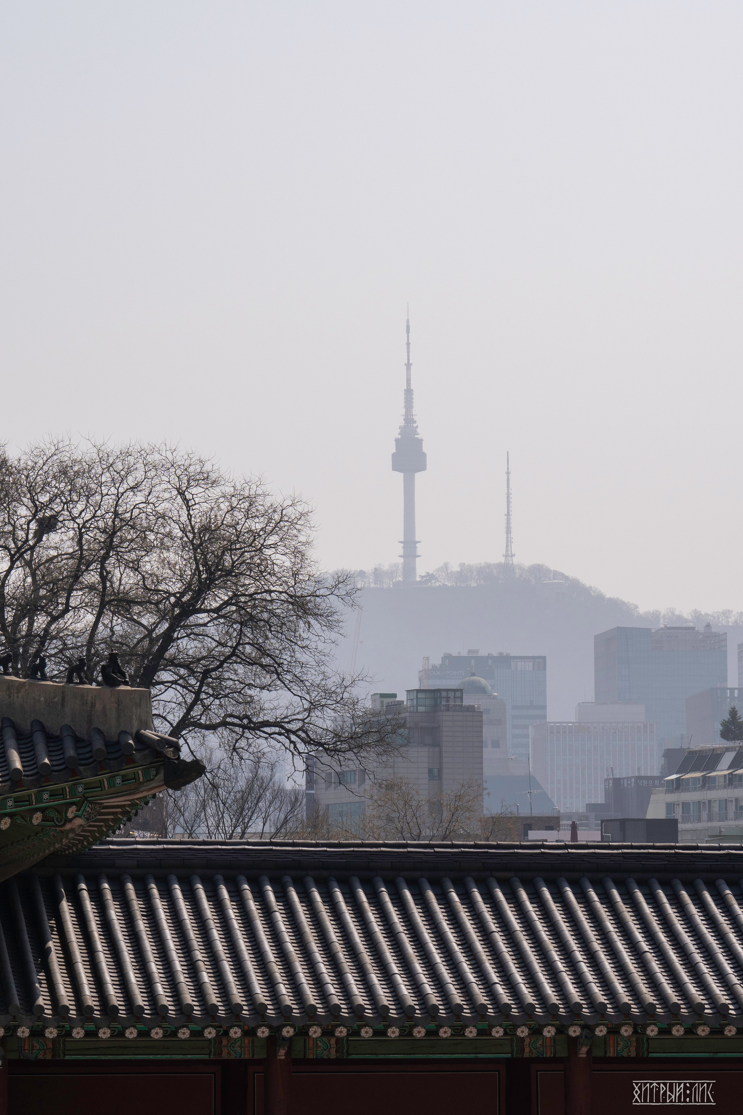 Южная Корея. Фотограф-путешественник Самойлов Максим «Sly Fox»