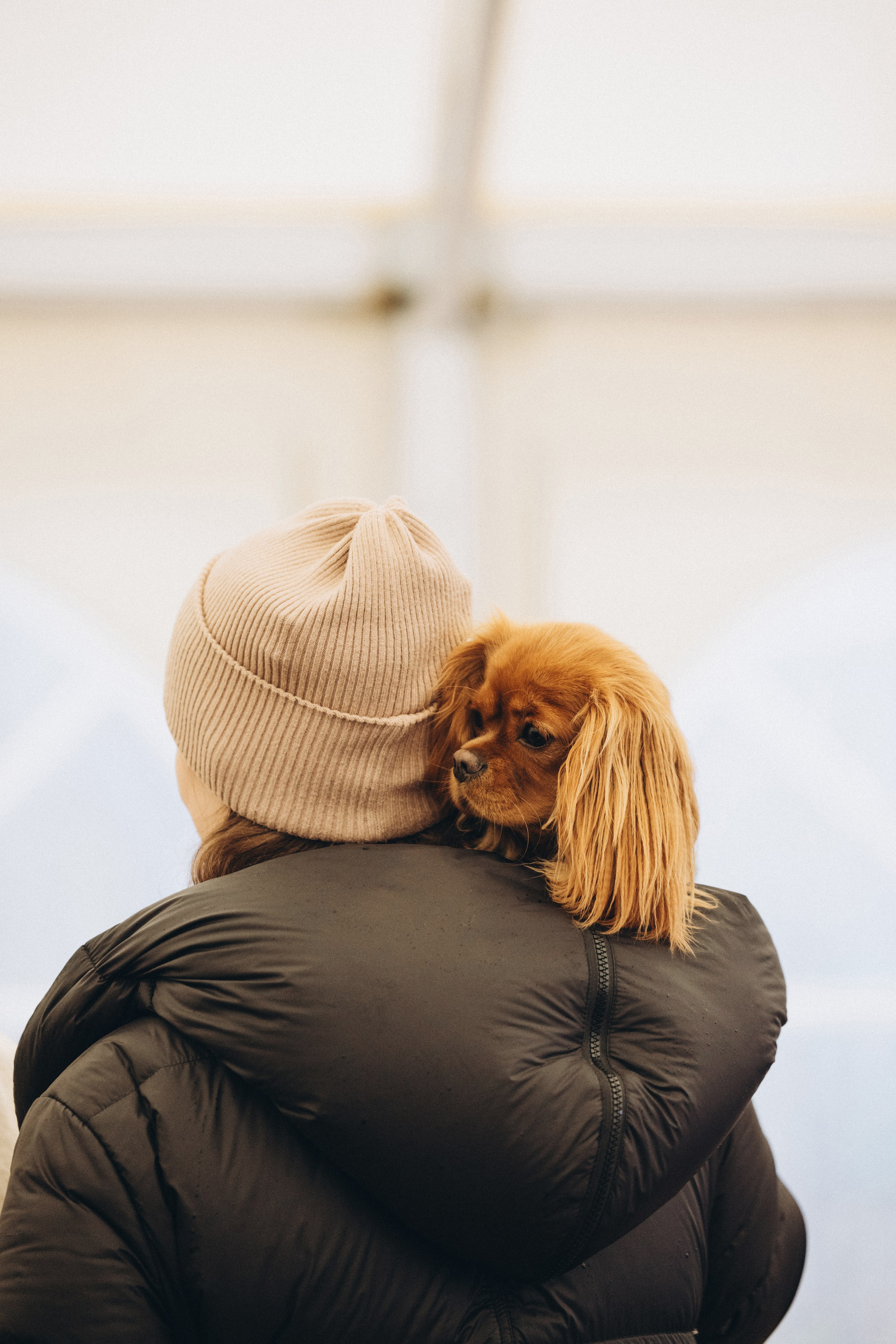 Встреча ККЧС. Фотограф анималист Осипчикова Мария