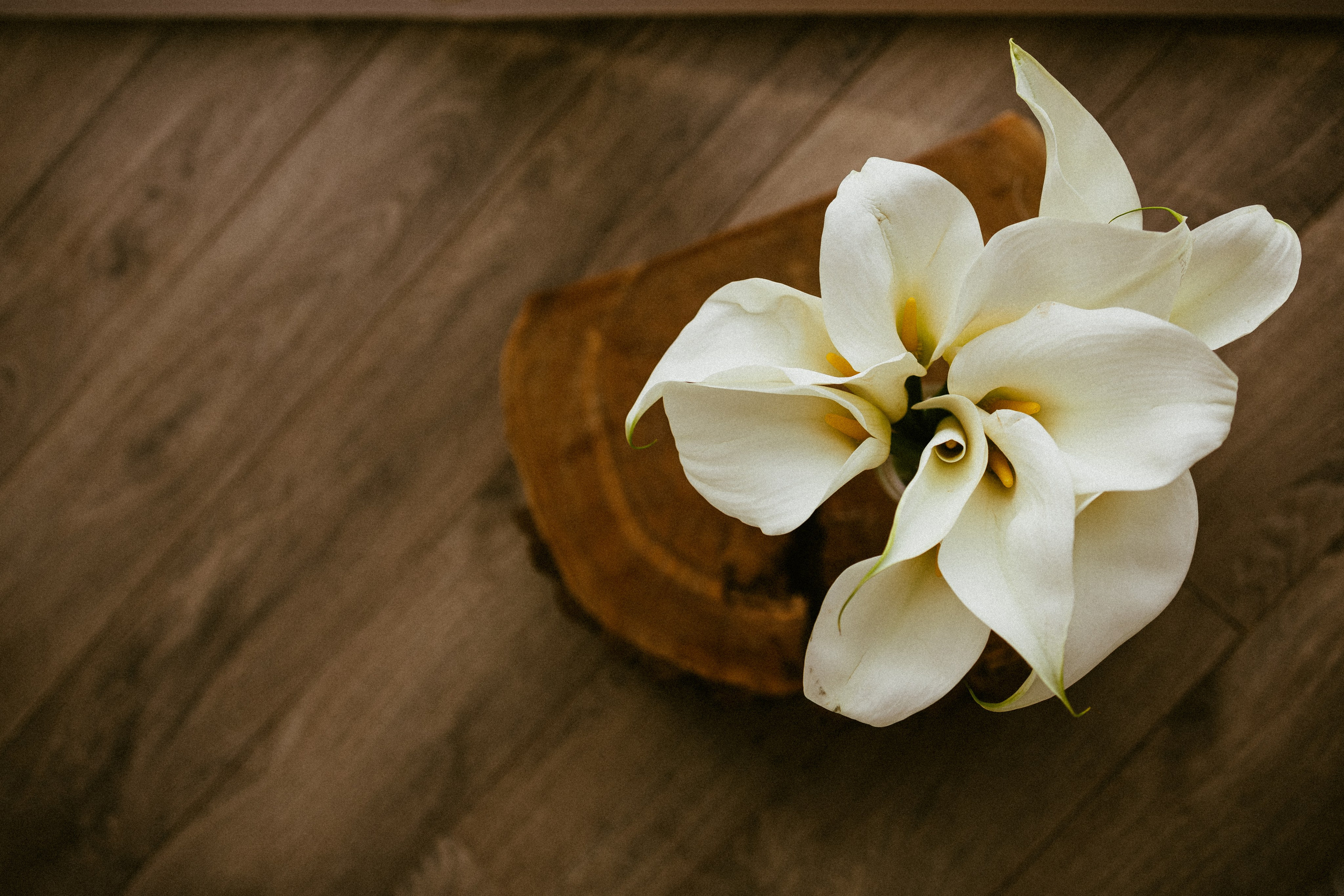 WITH LOVE. Фотограф Абронина Любовь | Москва