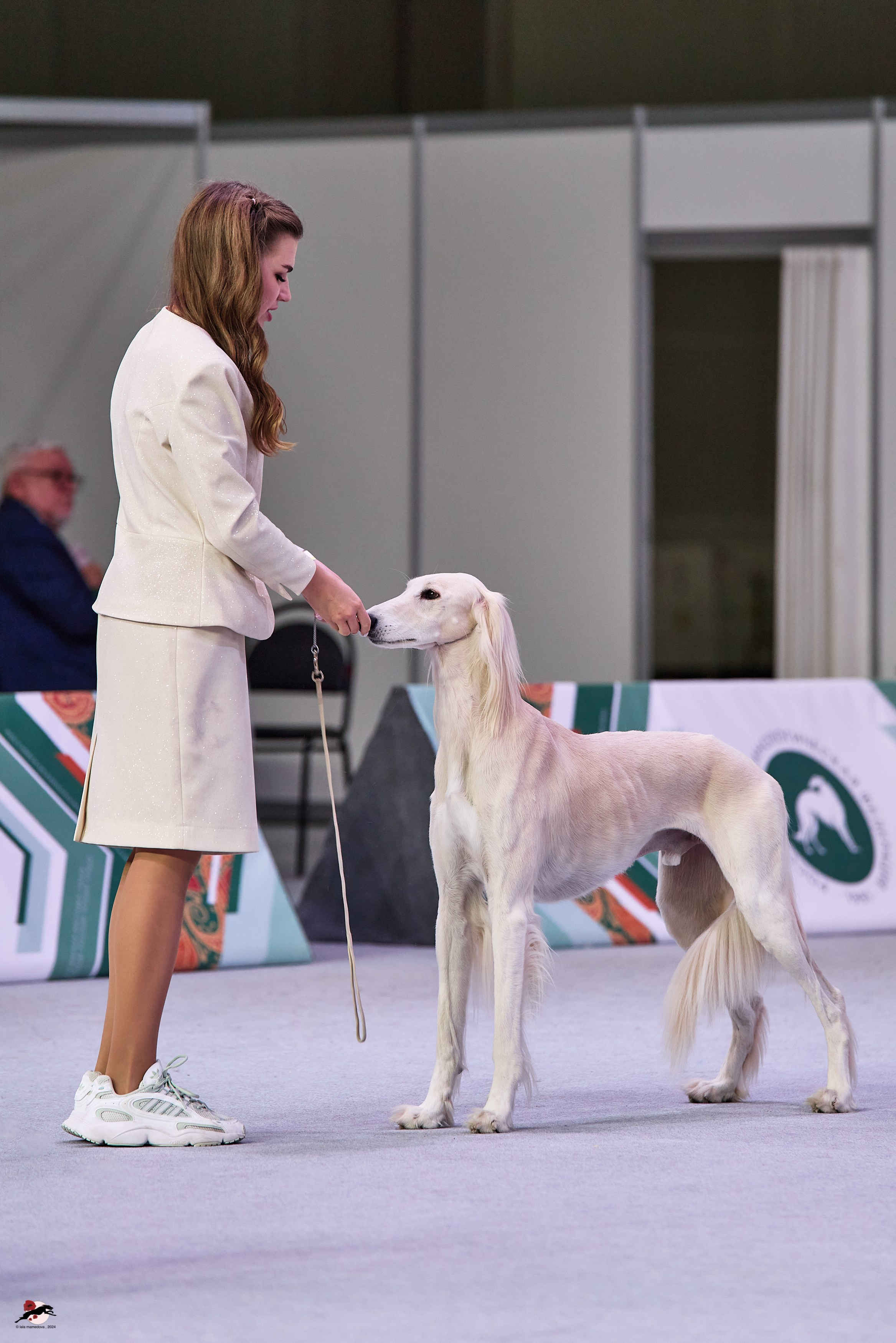 17.11.2024 «ЕВРАЗИЯ. КУБОК СНГ 2024»