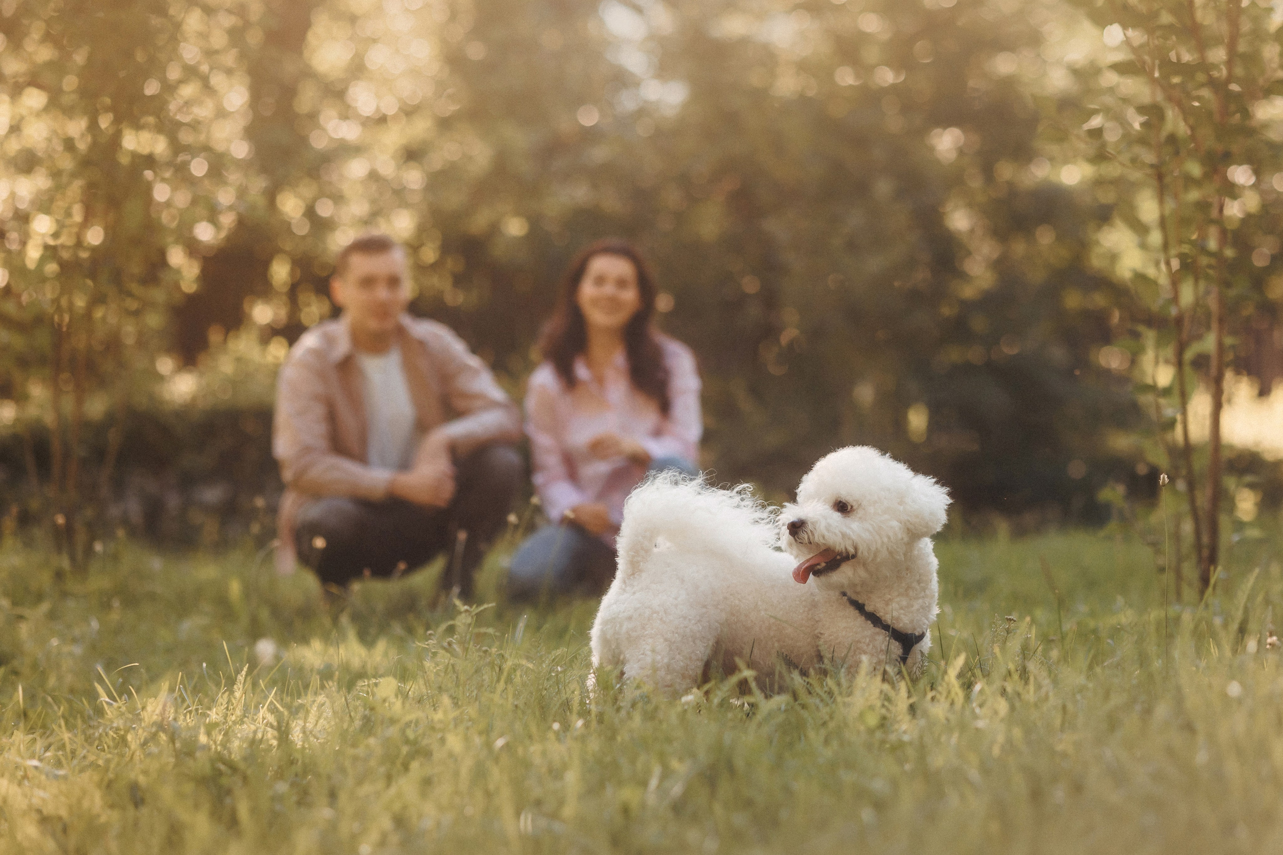 Марина, Данил и Бруно. Фотограф-анималист Елена Радченко, Москва