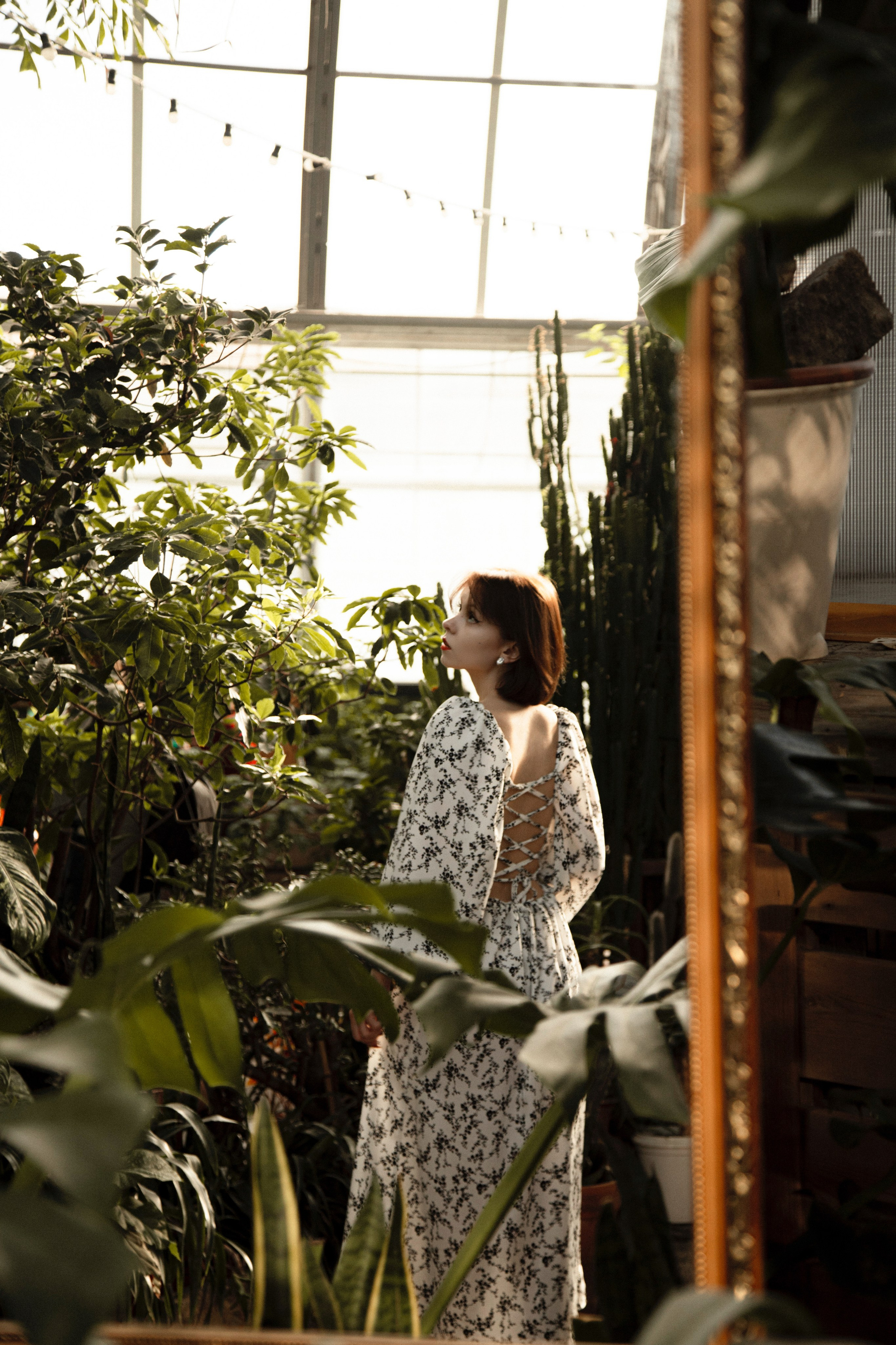 Оранжерея Таврического сада