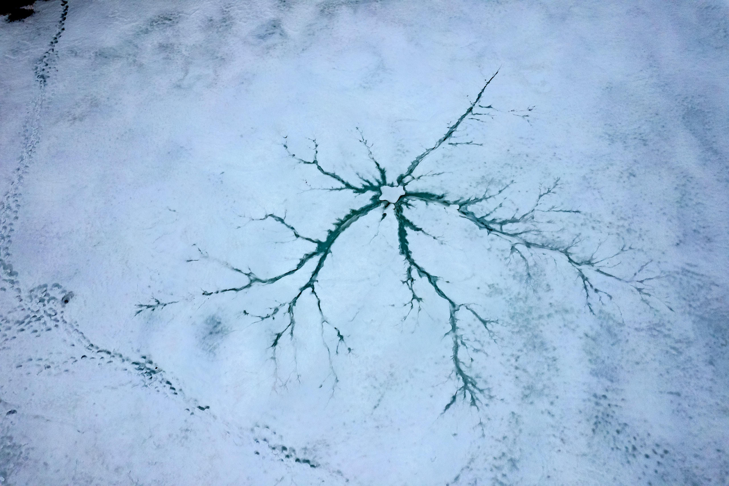 ПРИРОДА С ДРОНА. Фотограф Татьяна Борисова