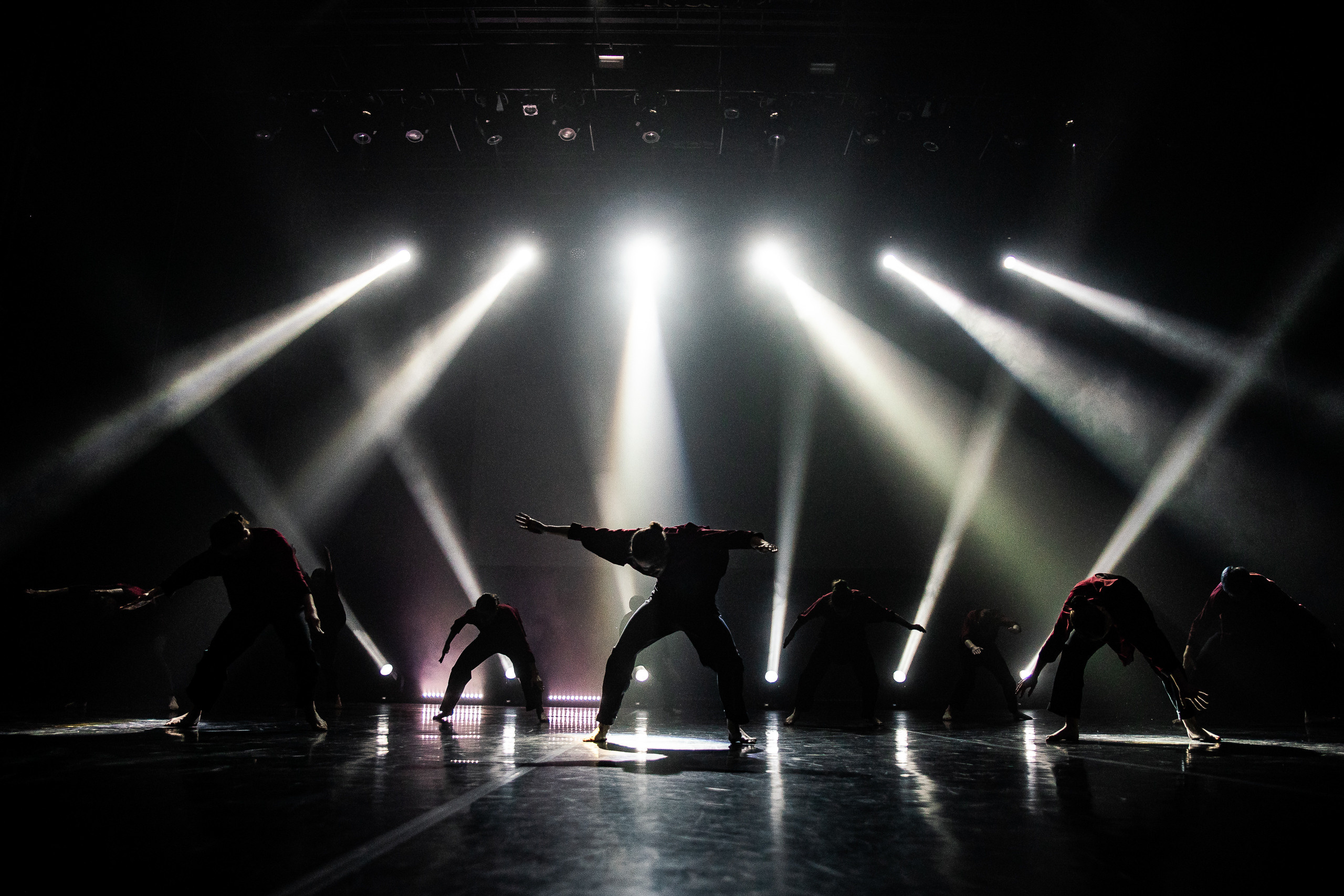 Wild Wild Dance 2020. Репортажный фотограф Сергей Сажин г. Ярославль