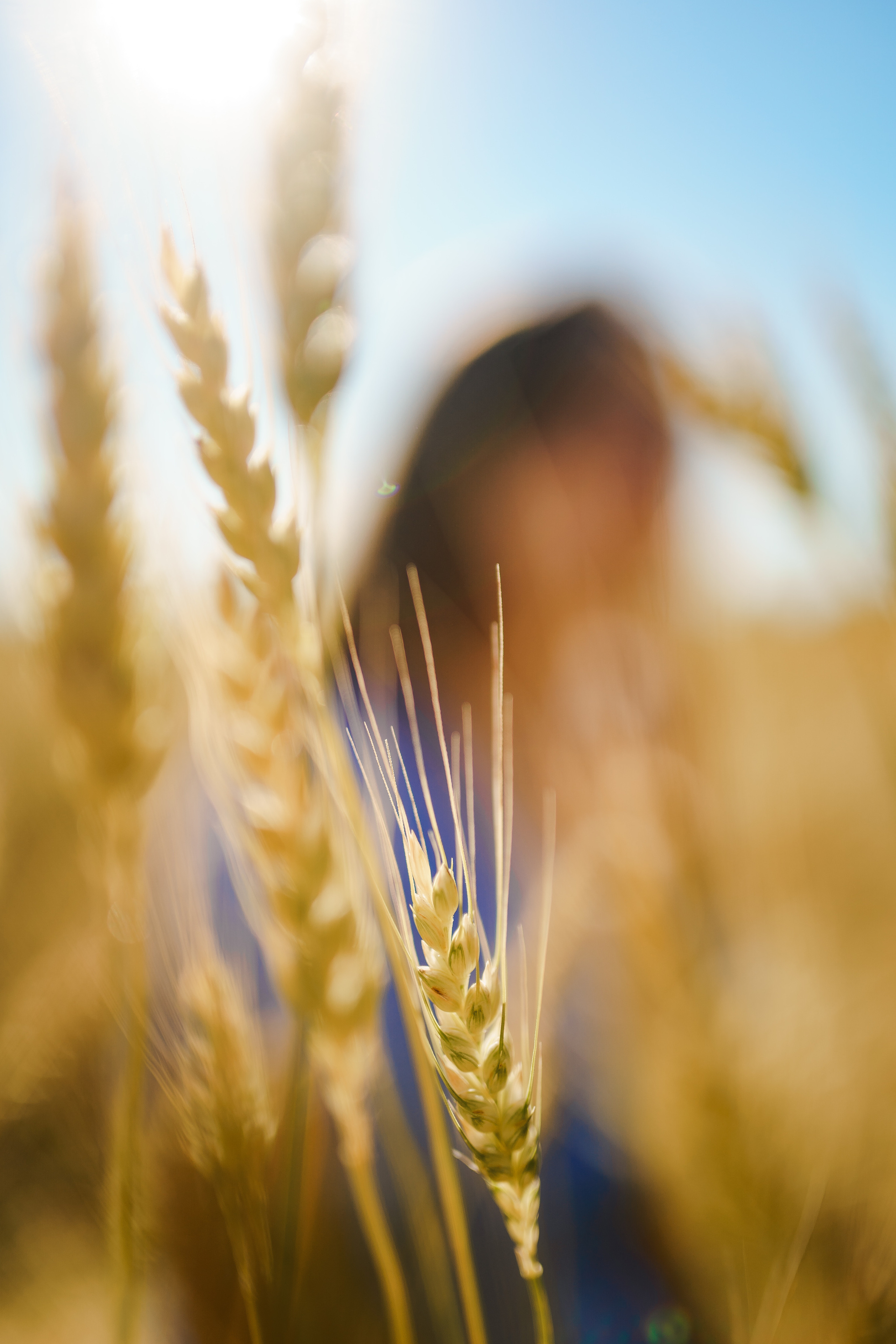 Летняя фотопрогулка. Репортажный фотограф Сергей Сажин г. Ярославль