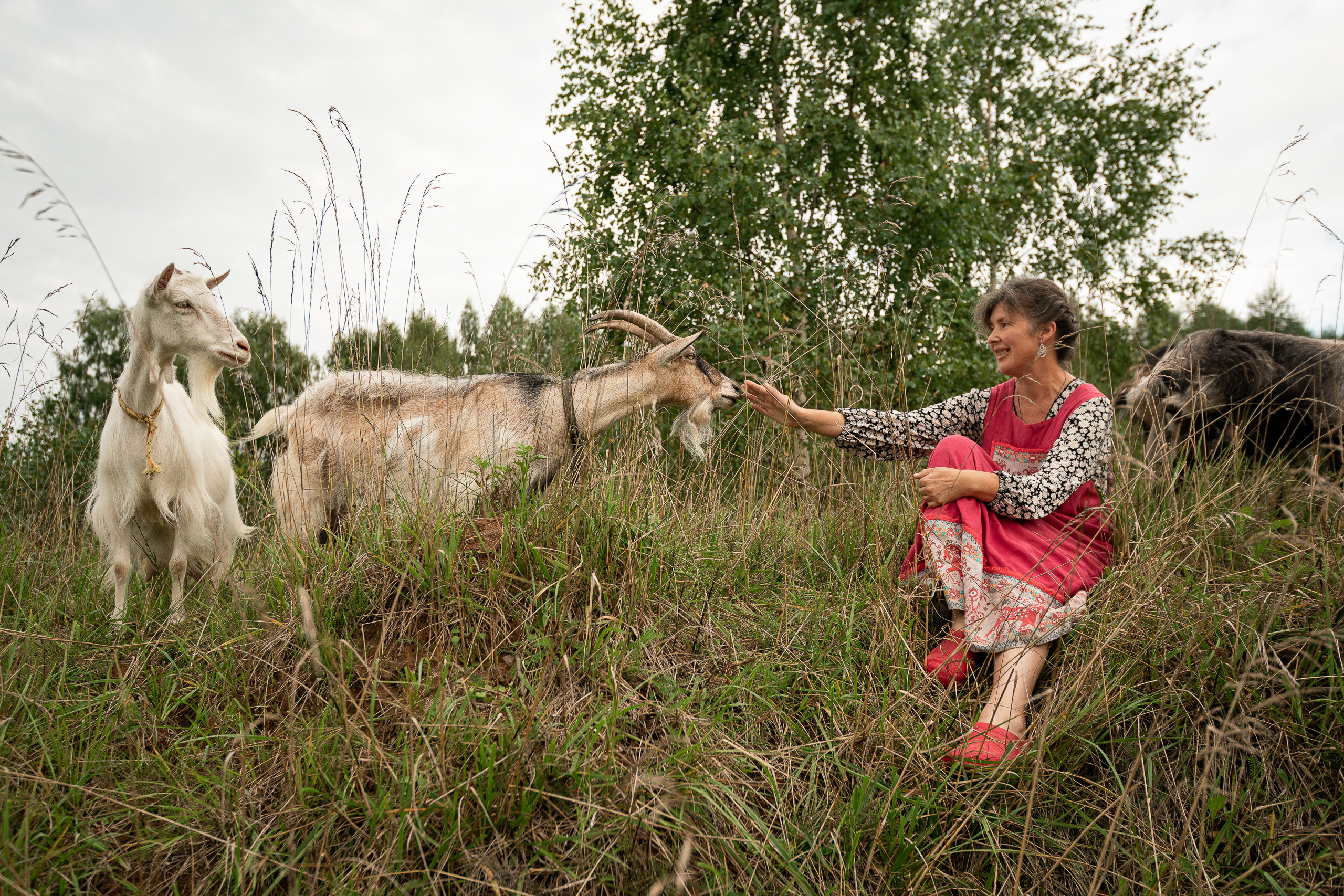 Фотосъёмка коз для блога. Репортажный фотограф Сергей Сажин г. Ярославль