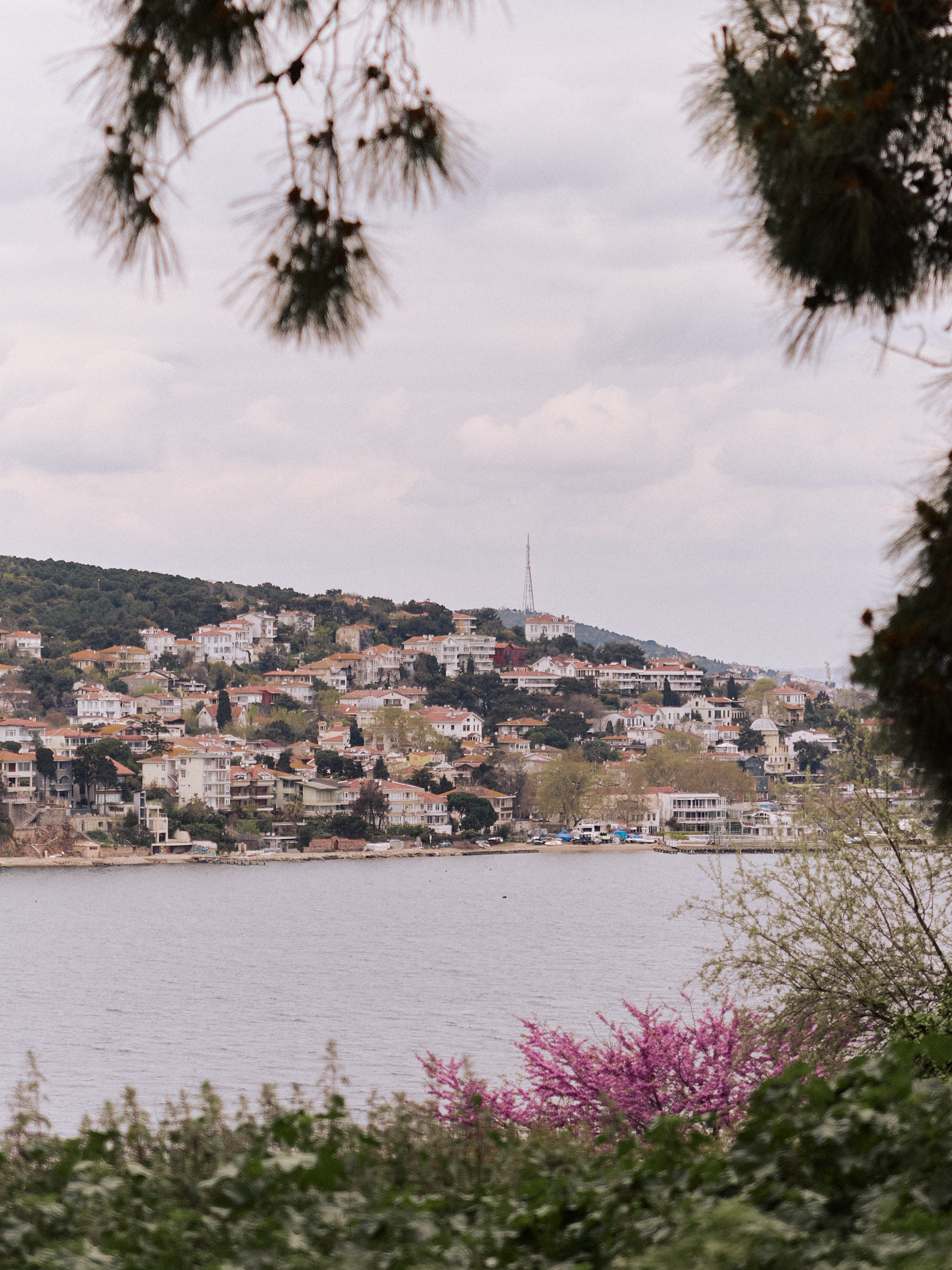 Диптих. Jorgis — фотограф в Хургаде / обучение фотографии