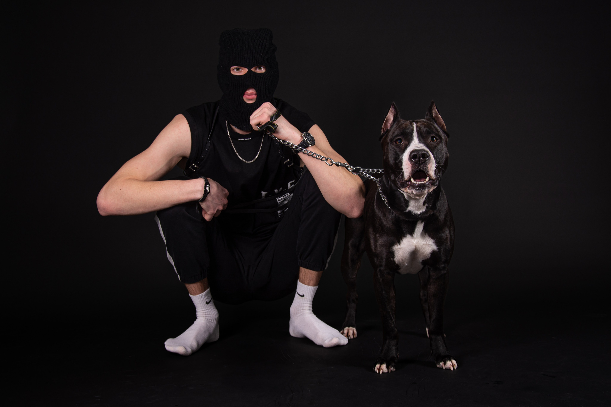 Фотосессия с собакой в студии. Фотограф Макс Огурцов в Нижнем Новгороде