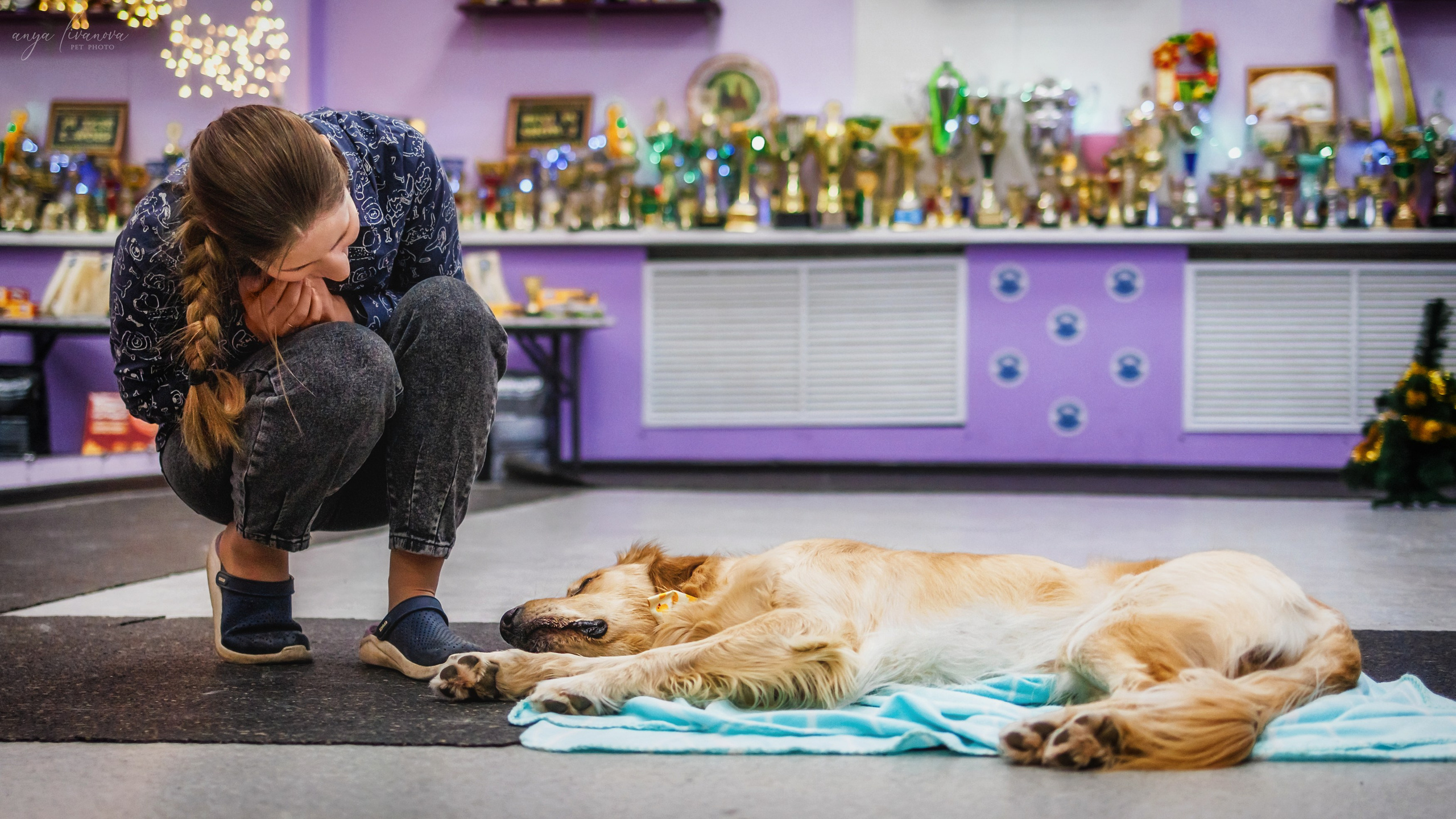 НГ конкурсы в «Simply the Best». Фотограф анималист Аня Ливанова | Рыбинск