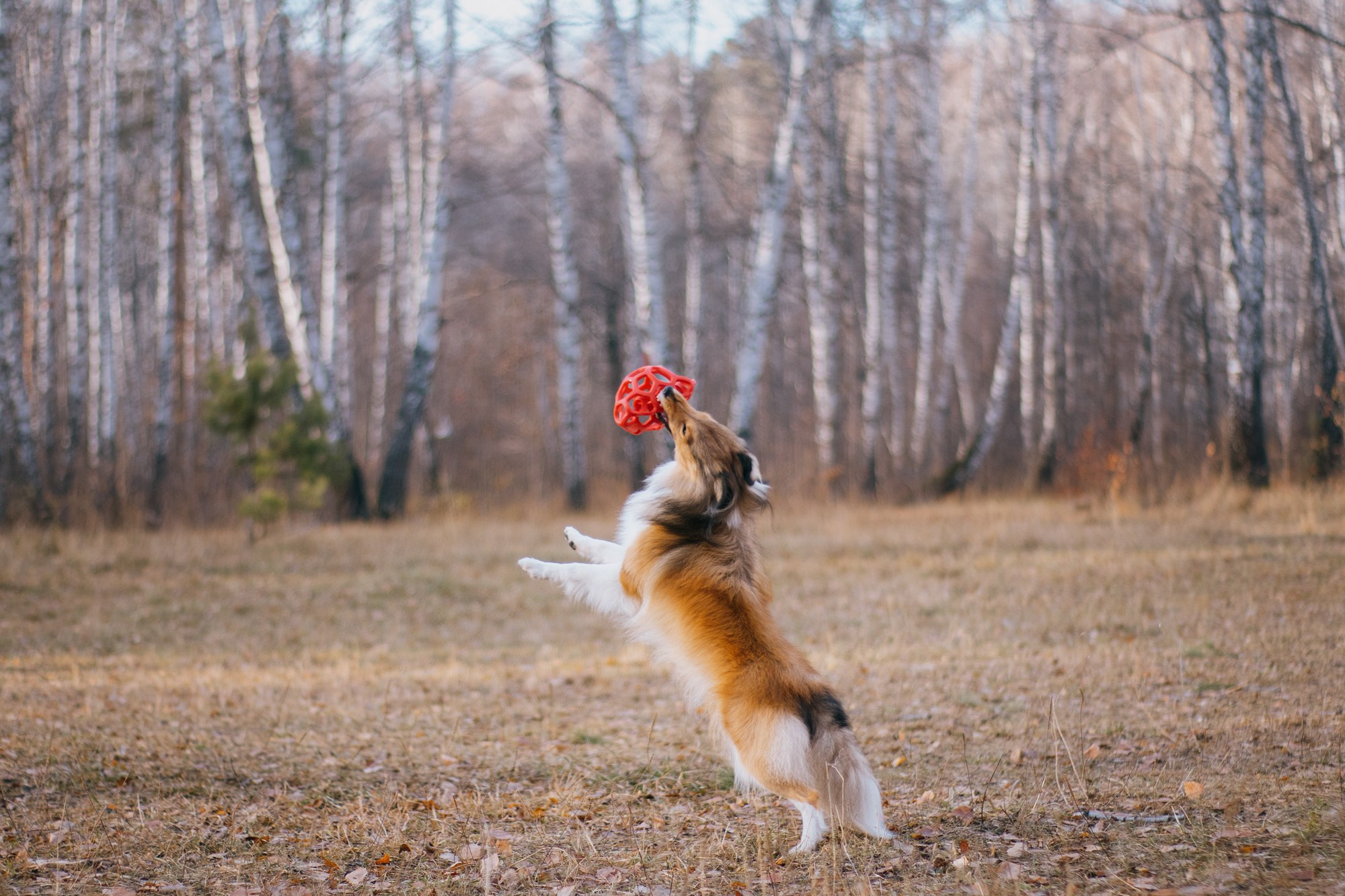 Анна и Габи. Фотограф в Тюмени Лизавета Сапицкая