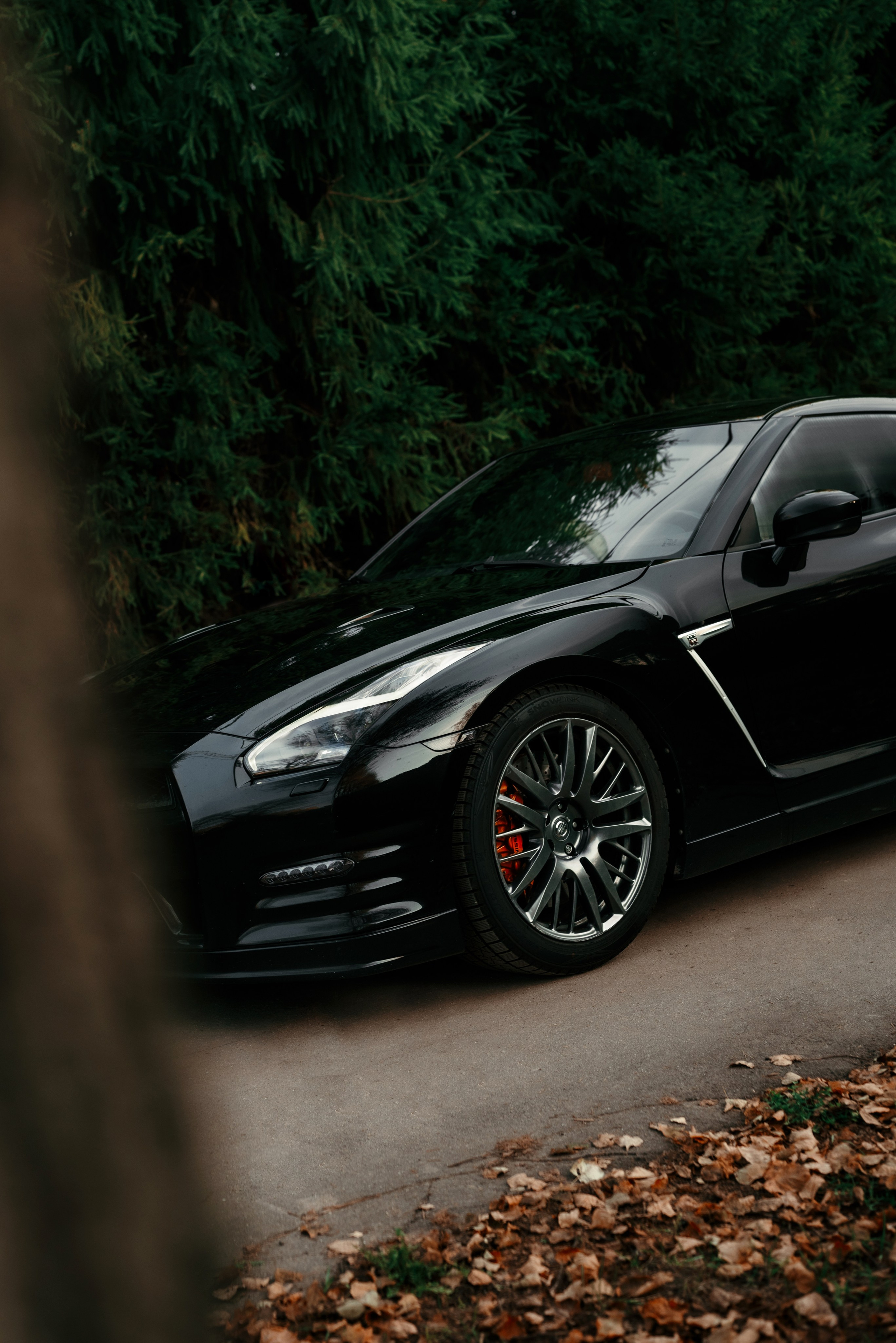 Nissan GT-R35 autumn vibe. DeLorein