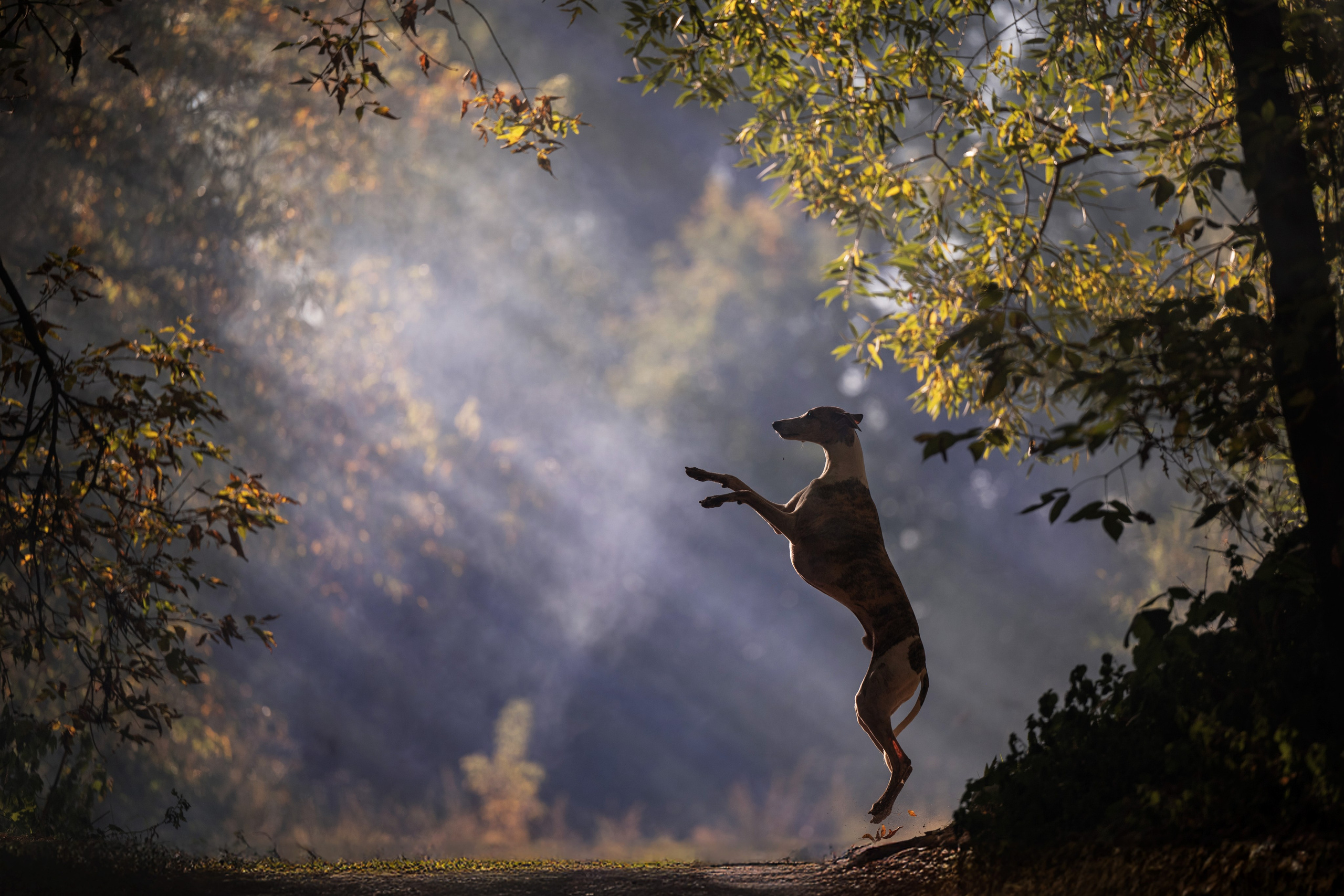 Утро в Иславском 7 сентября 2024. -