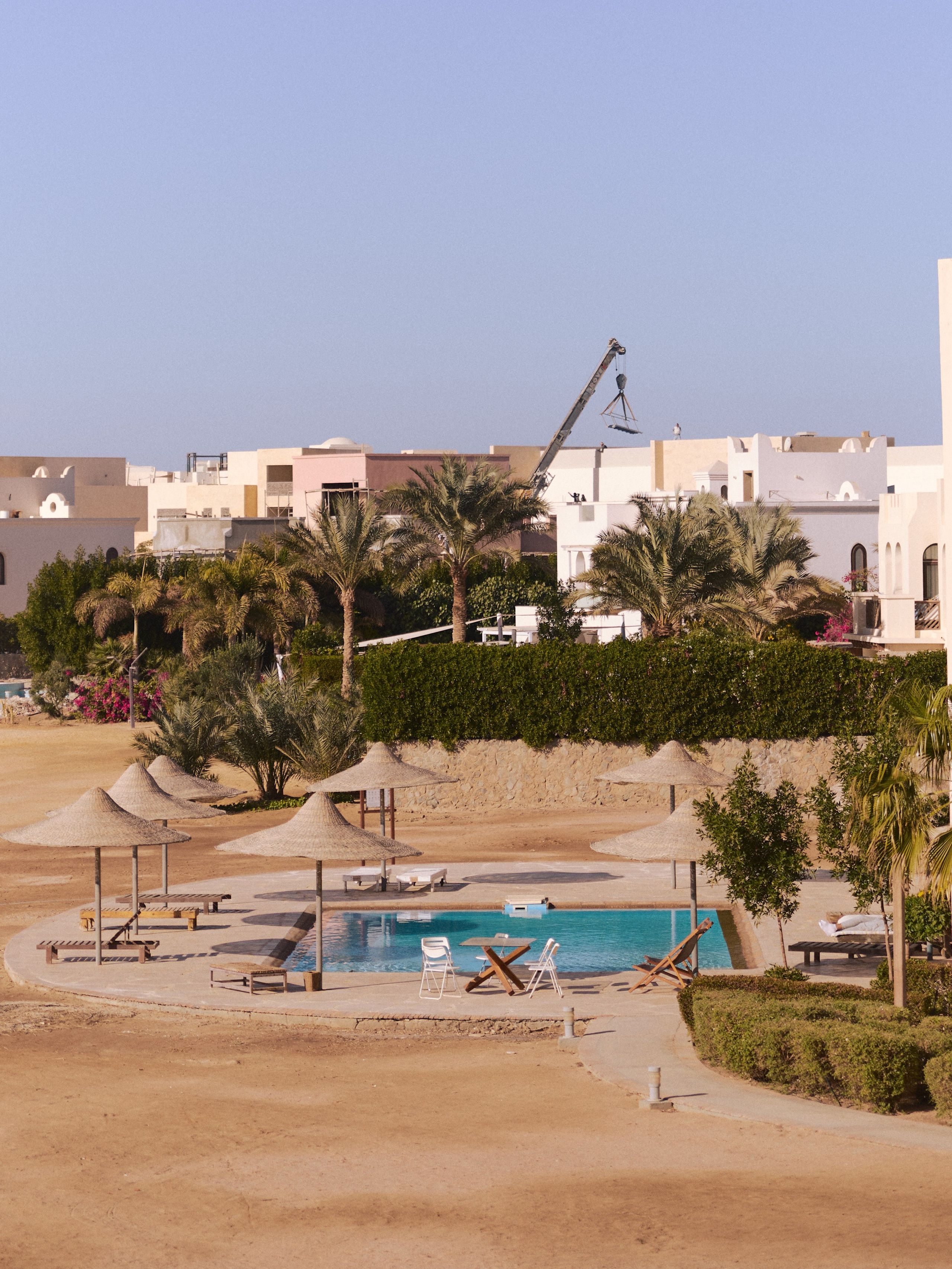 Природа сквозь. Jorgis Talè — photographer, kind person, teacher of arts and other mag