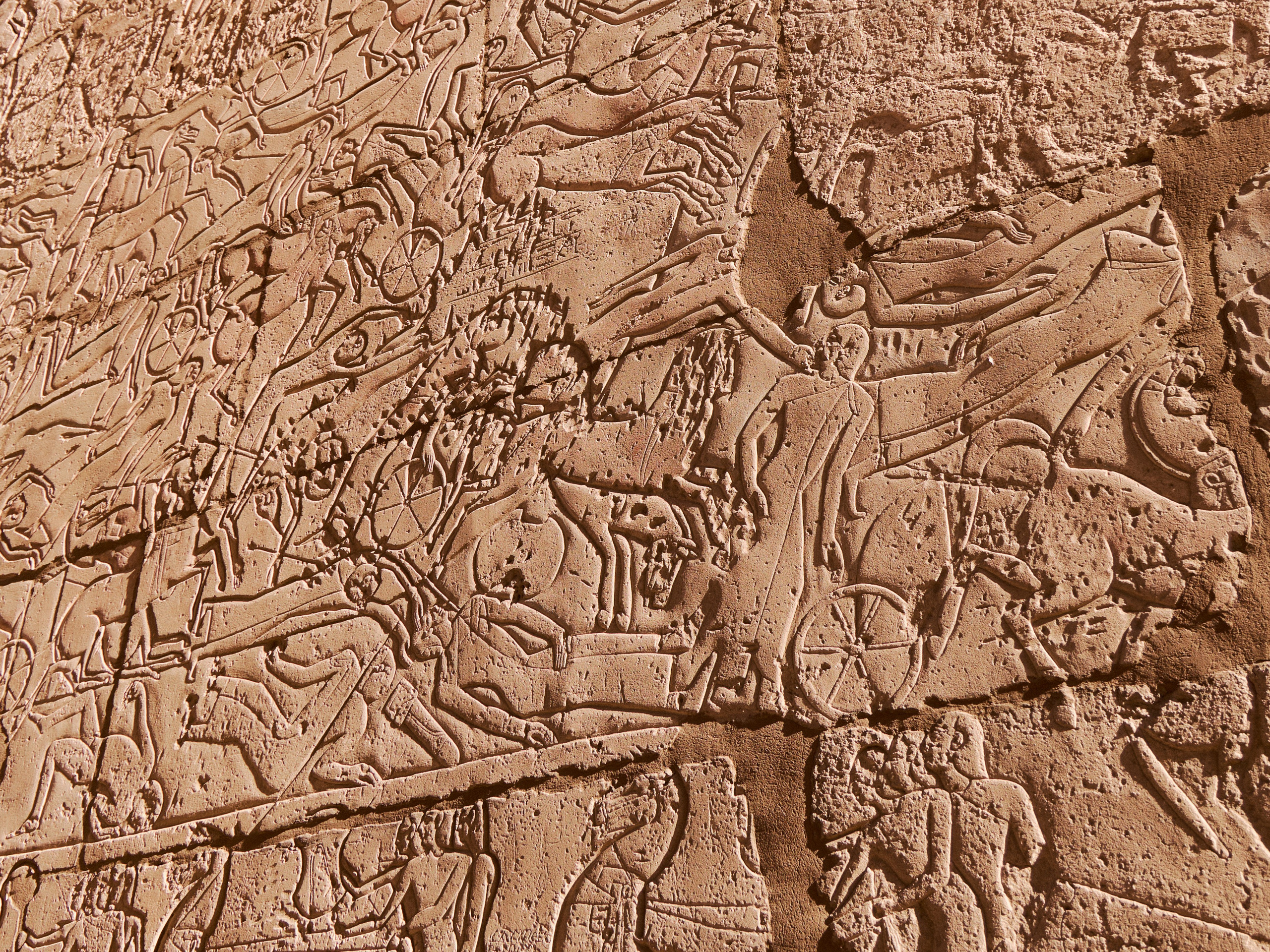 Другое 4. Jorgis — фотограф в Хургаде / обучение фотографии