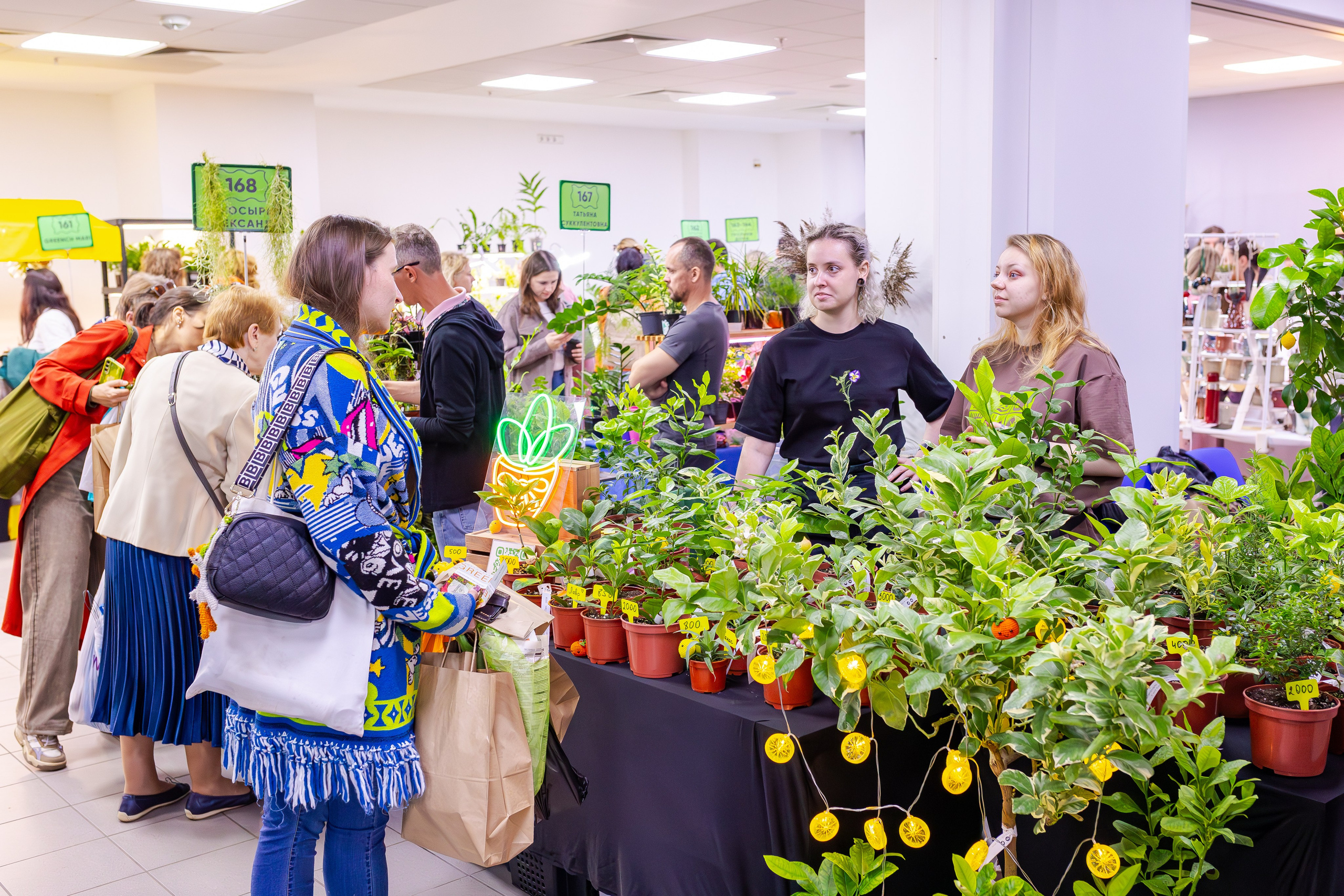 Орхидиум сентябрь 2025. Александра Куликова фотограф, Москва