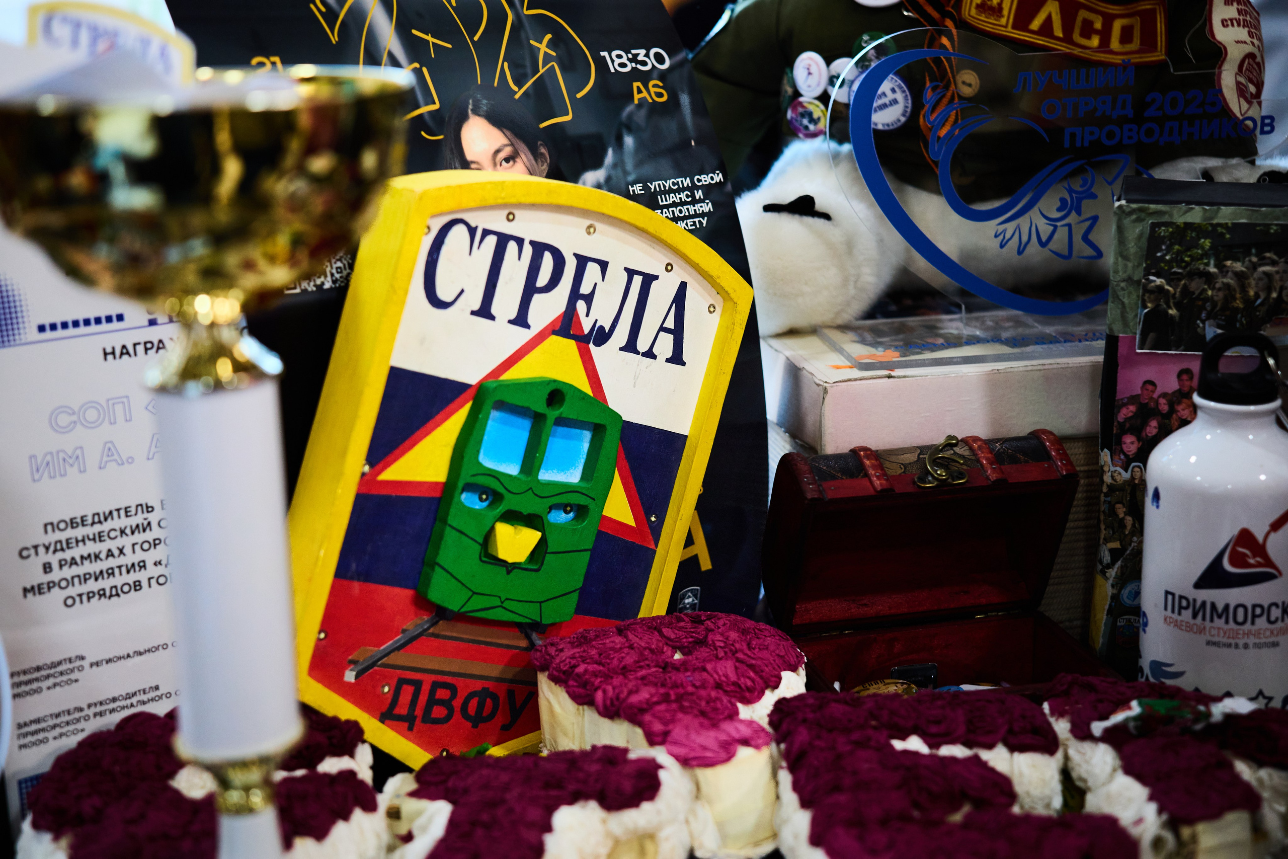 Ярмарка студенческих организаций ДВФУ. Репортажный фотограф во Владивостоке Анастасия Кострова