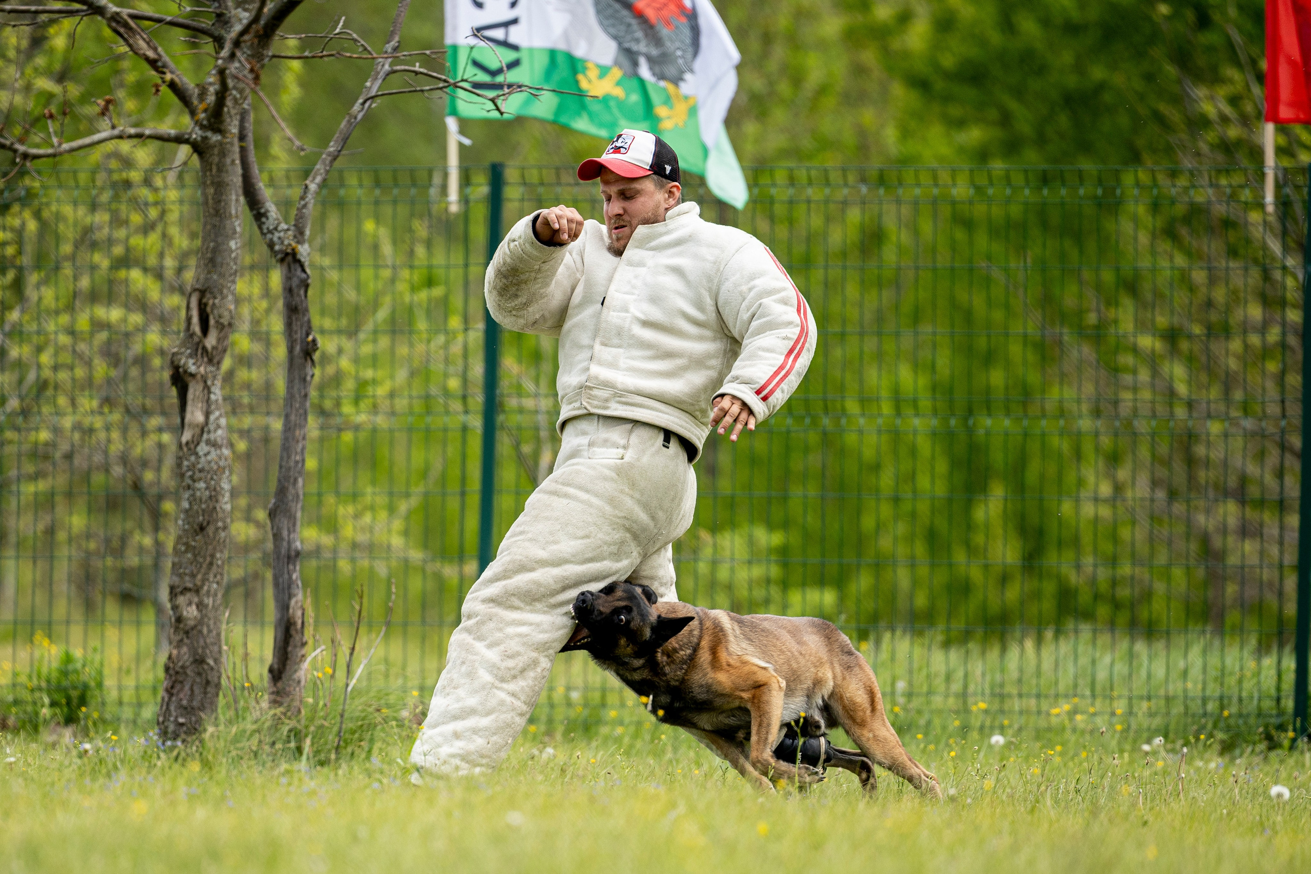Испытания по мондьорингу в Нижнем Новгороде. Фотограф-анималист Анна Маринич
