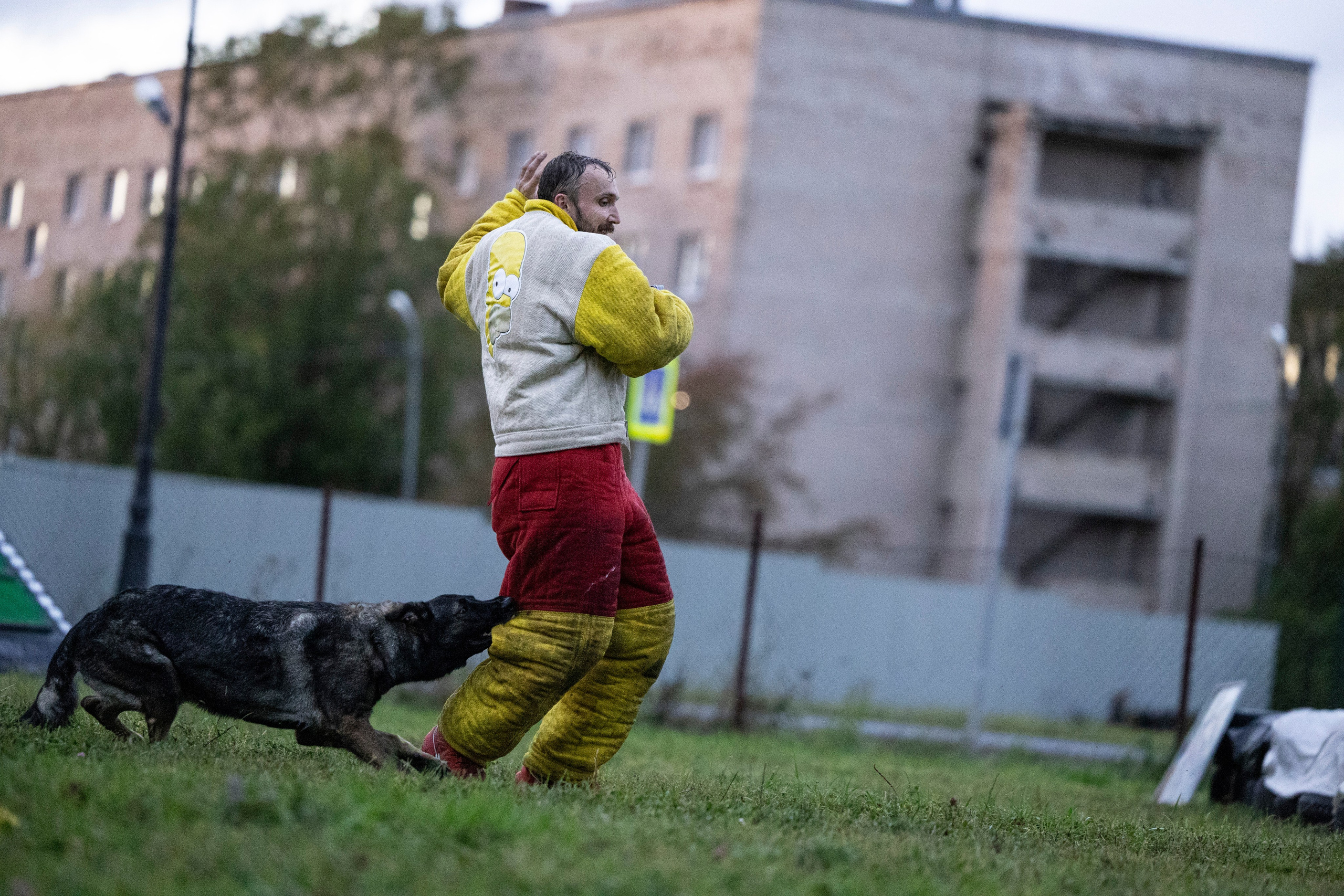 Испытания по Мондьорингу г. Пушкин. Фотограф-анималист Анна Маринич